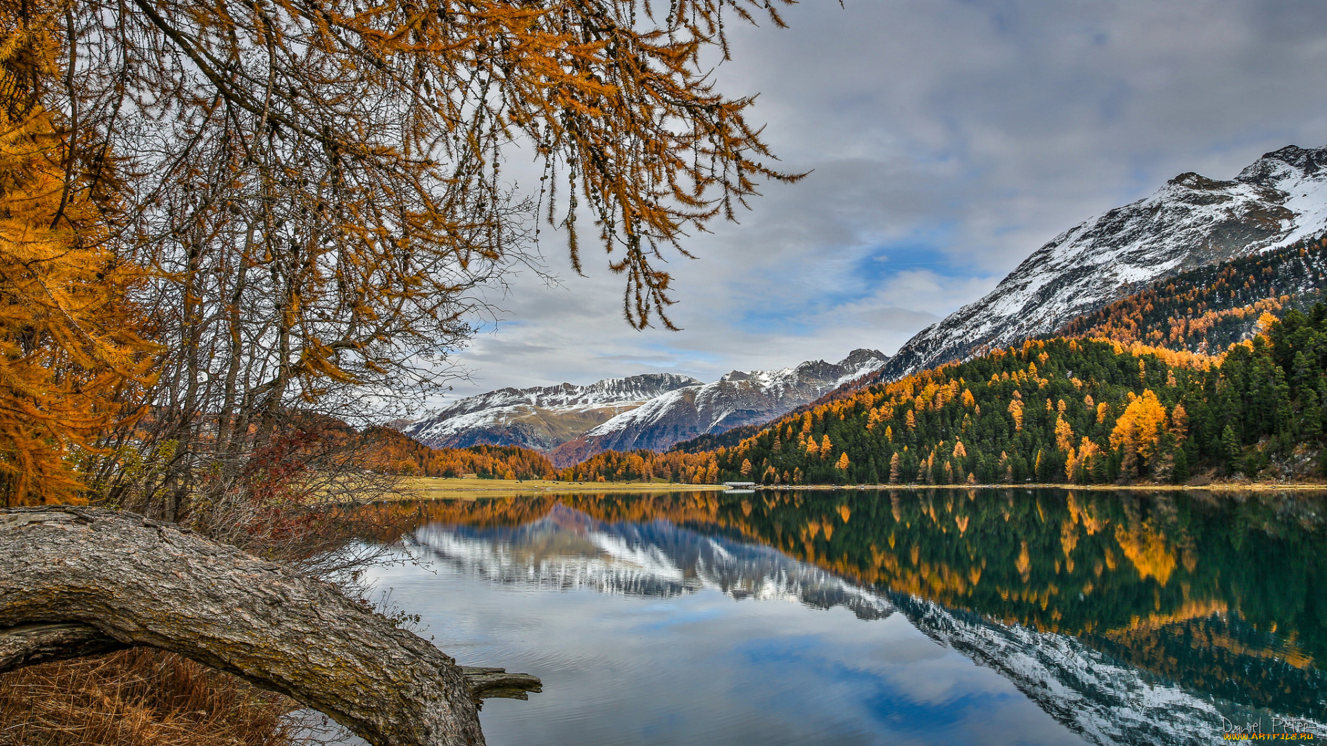 природа, реки, озера, лес, река
