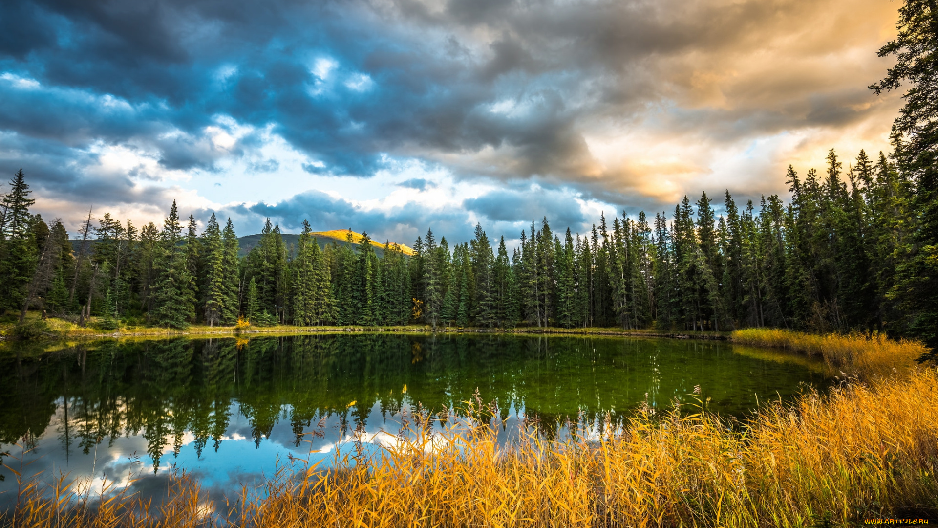 природа, реки, озера, лес, река