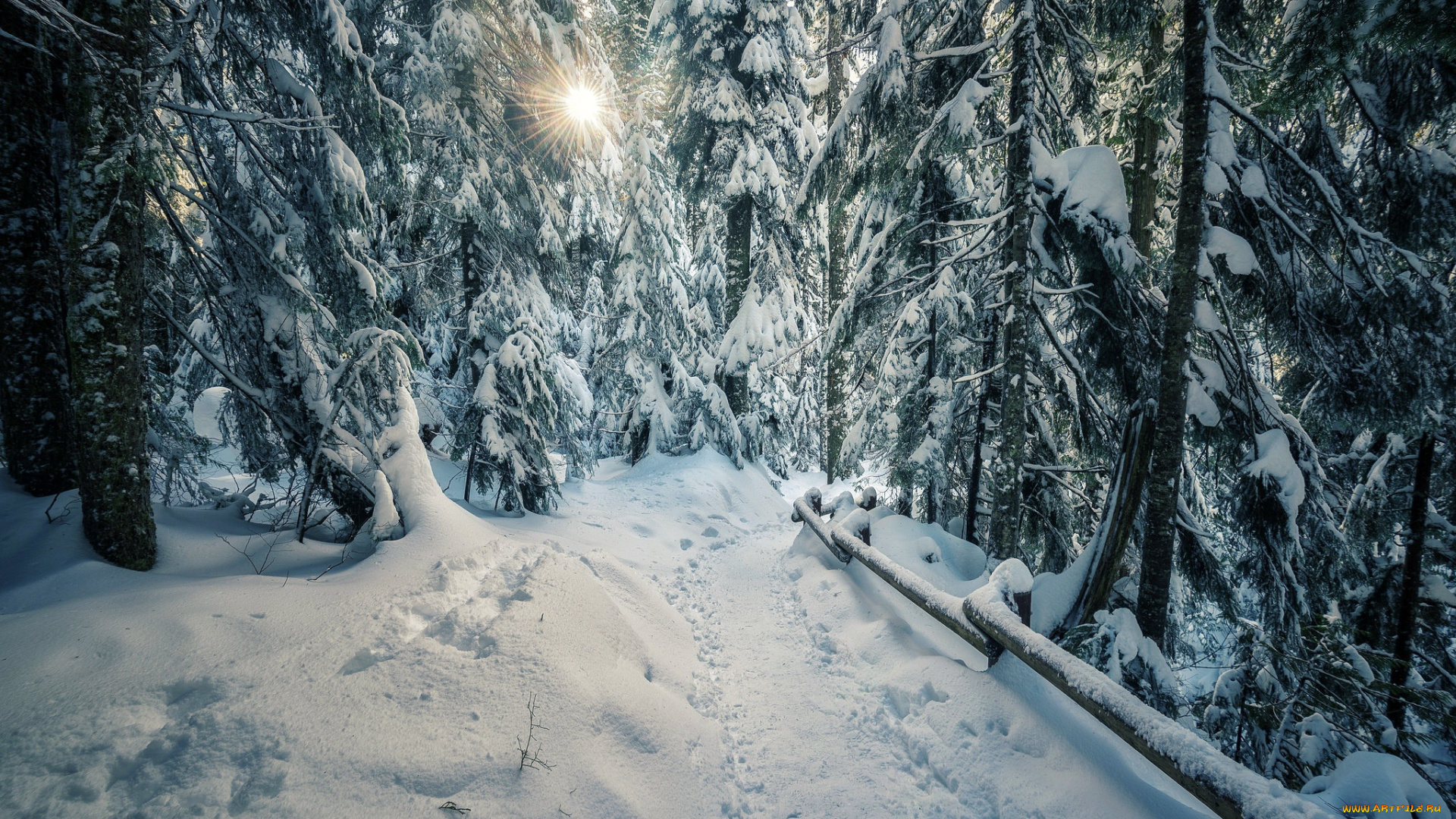 природа, зима, снег, деревья