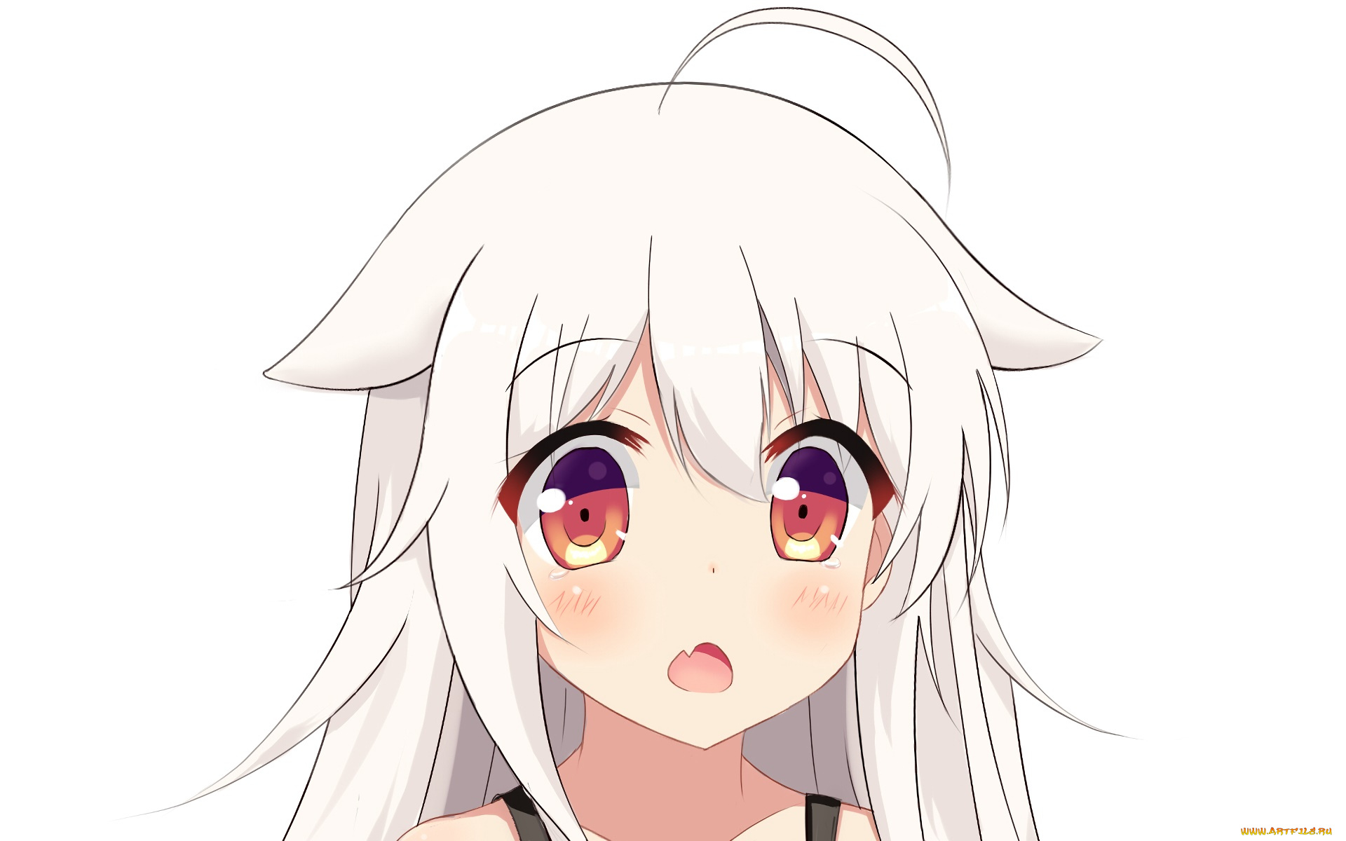 аниме, urara, meirochou, фон, взгляд, девушка