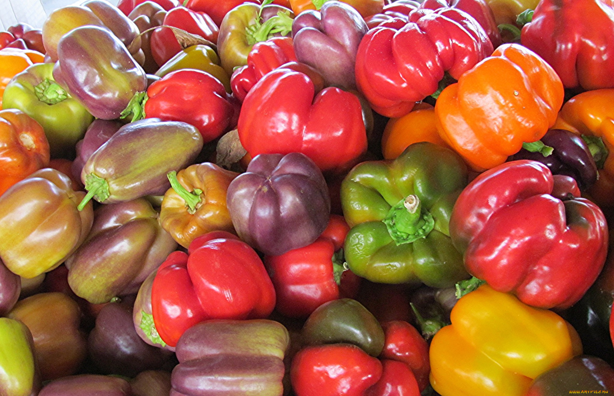 еда, перец, перчики