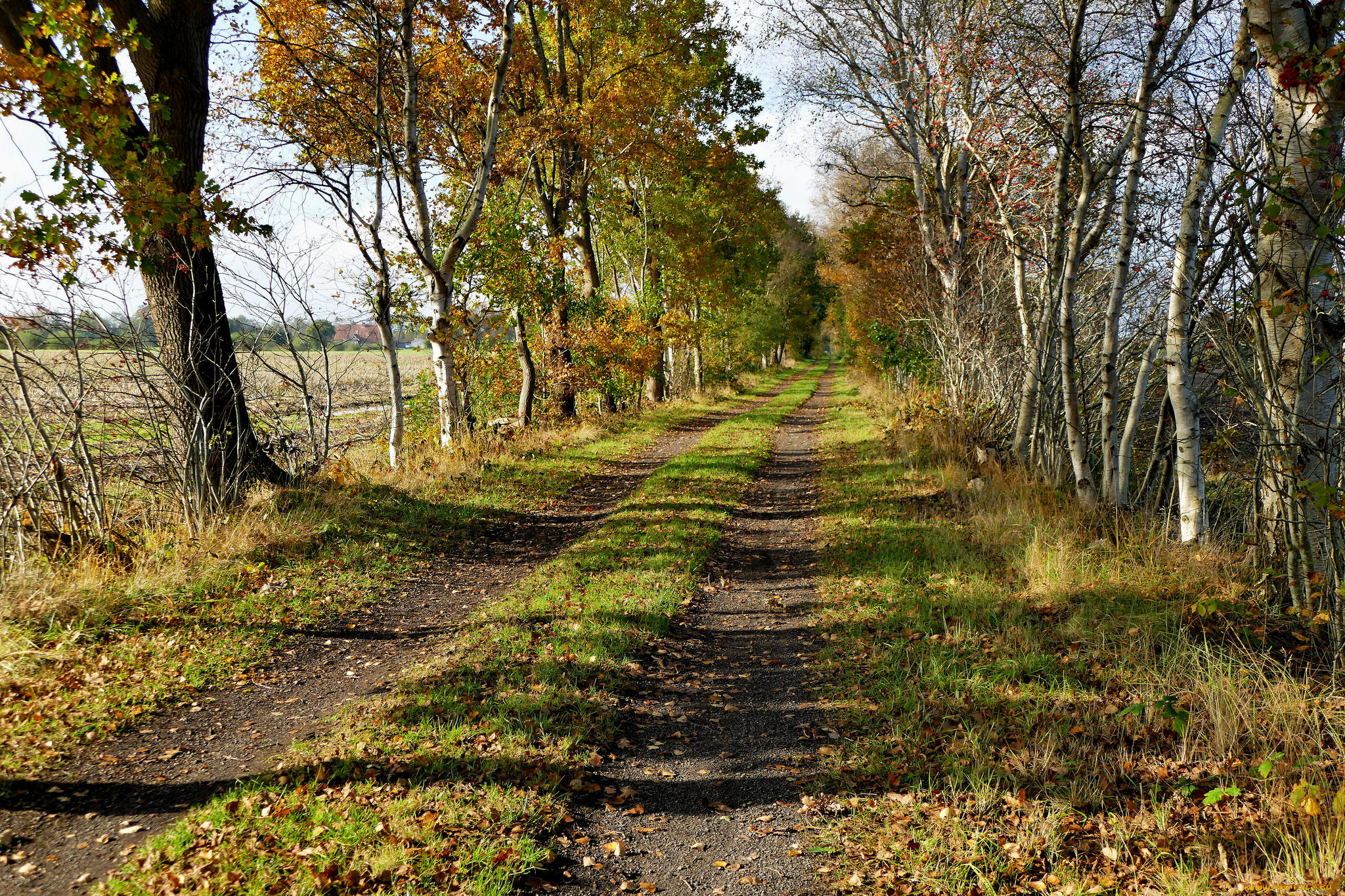 природа, дороги, тракт