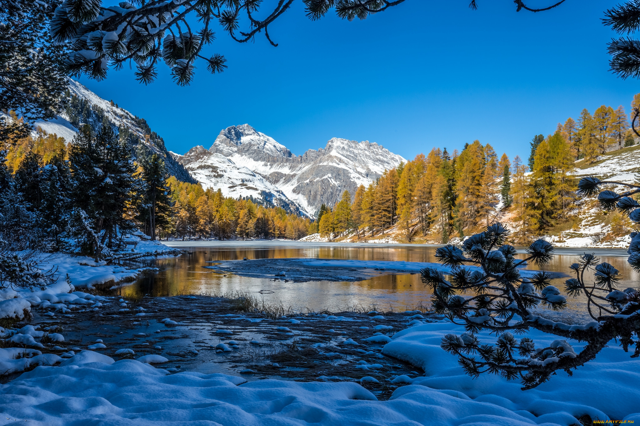 природа, реки, озера, лес, река