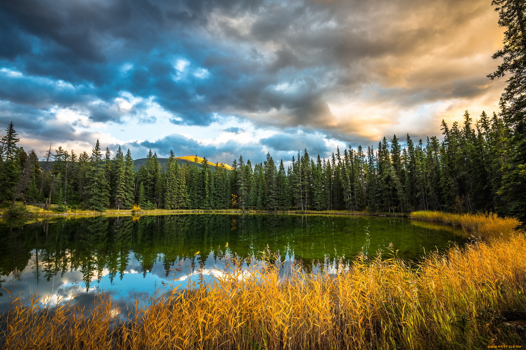 природа, реки, озера, лес, река