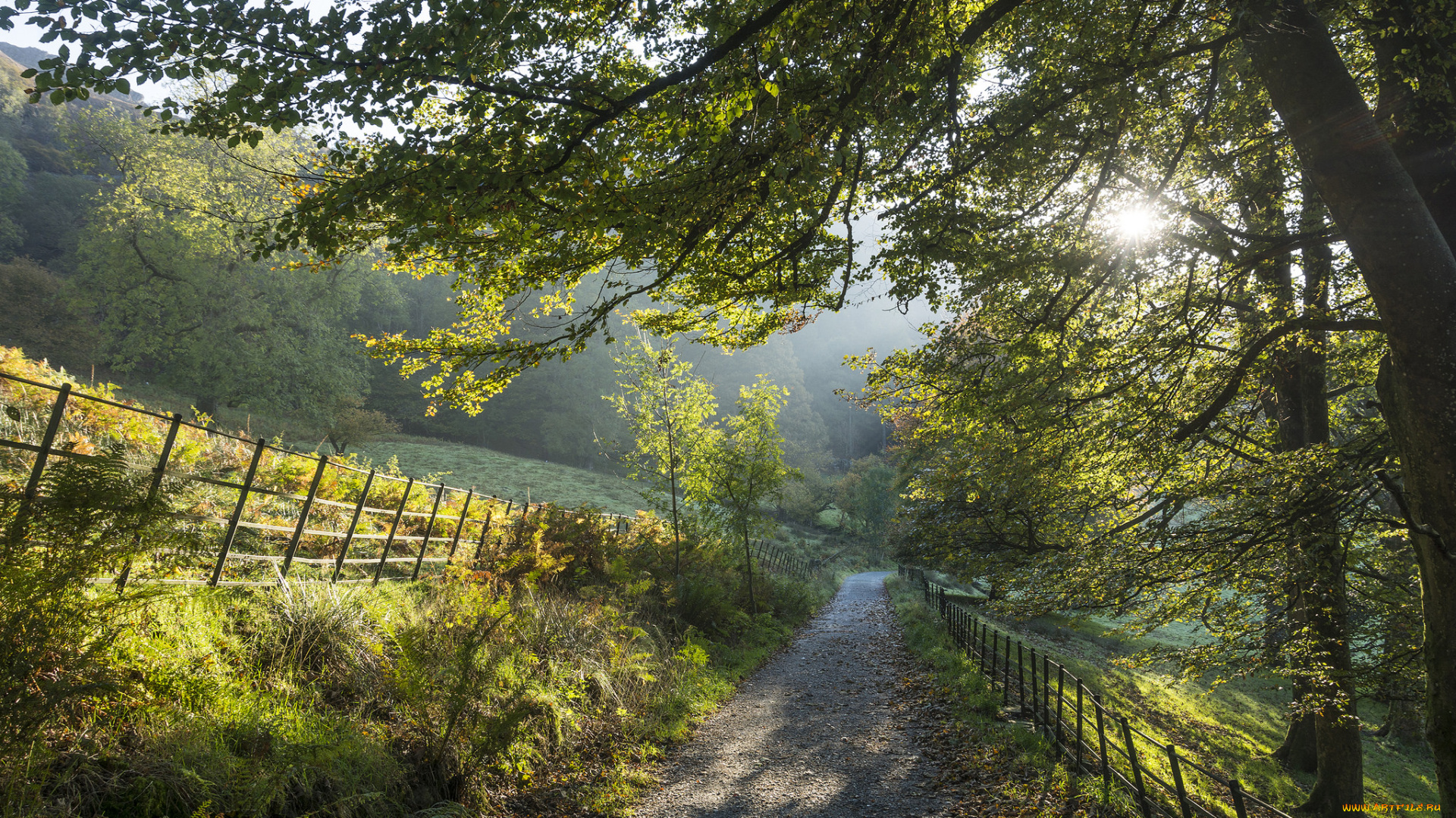 природа, дороги, простор