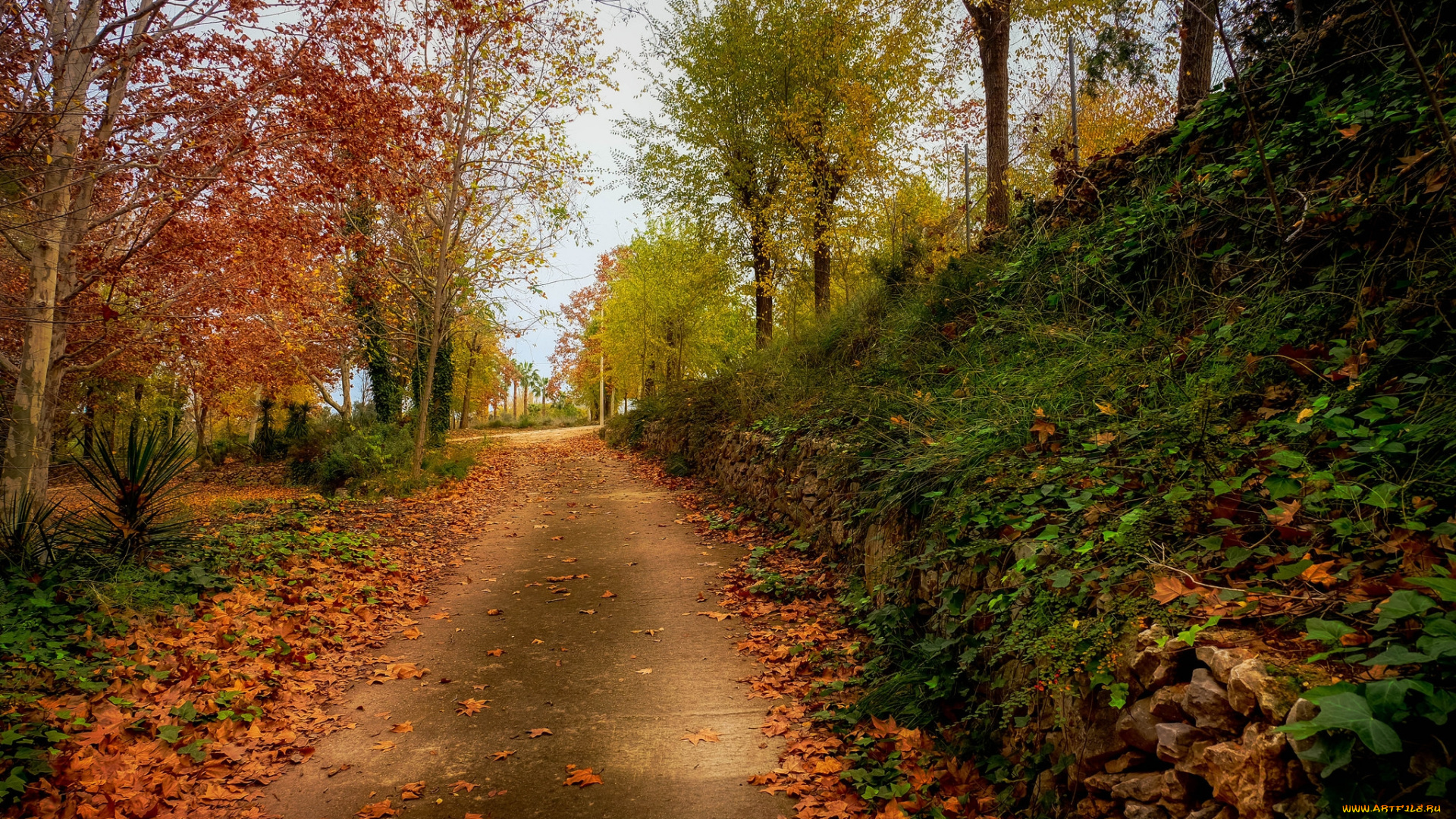 природа, дороги, простор