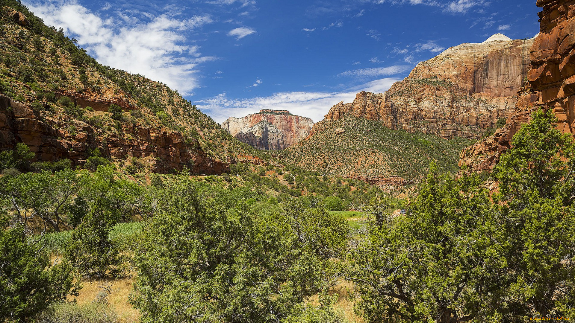 природа, горы, простор