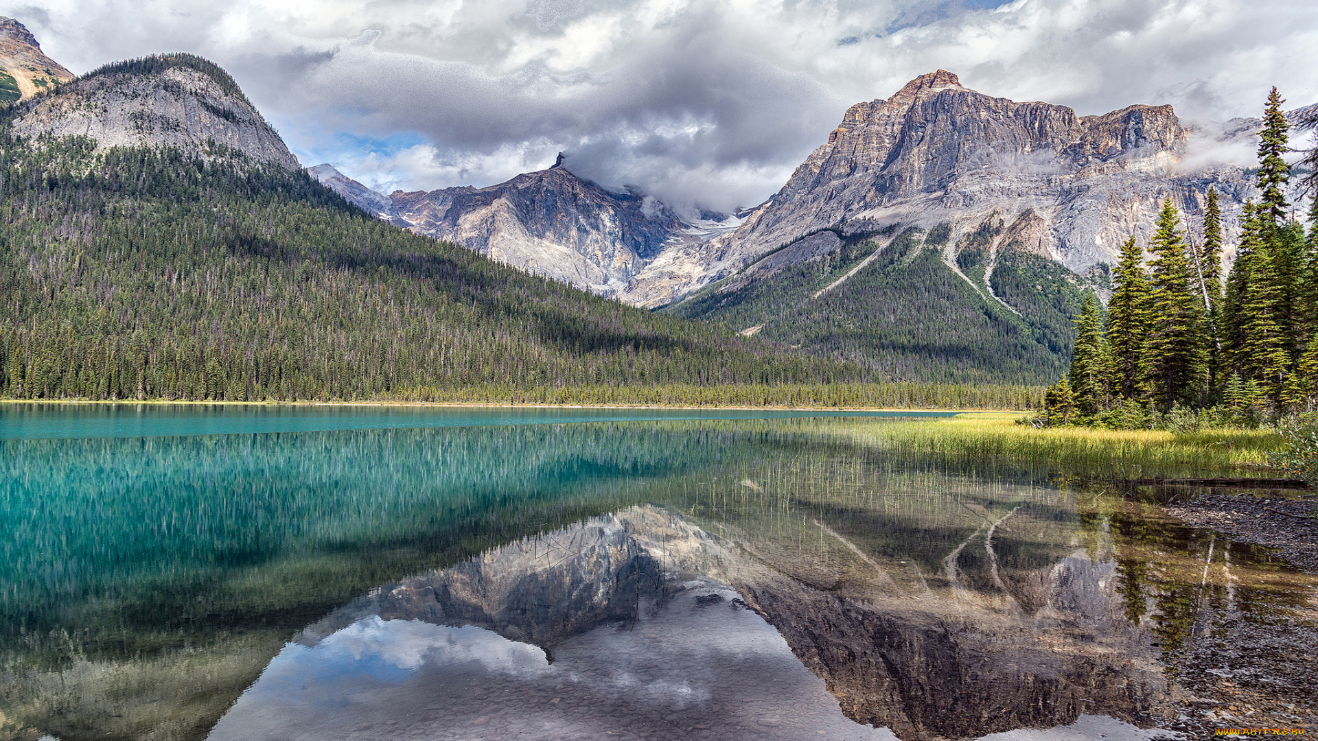 природа, горы, простор