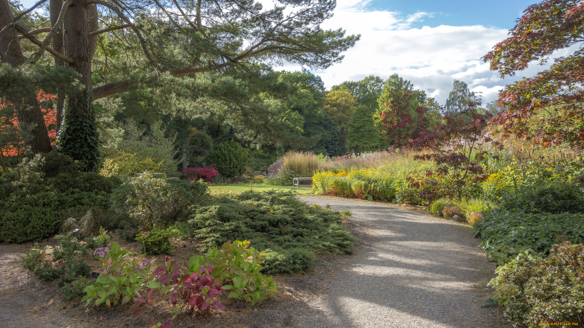 природа, парк, простор