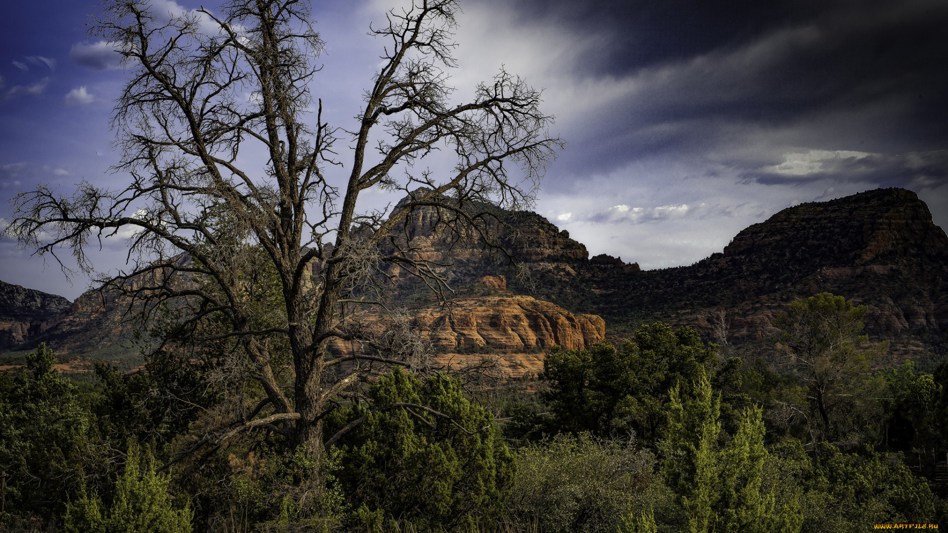 природа, пейзажи, простор