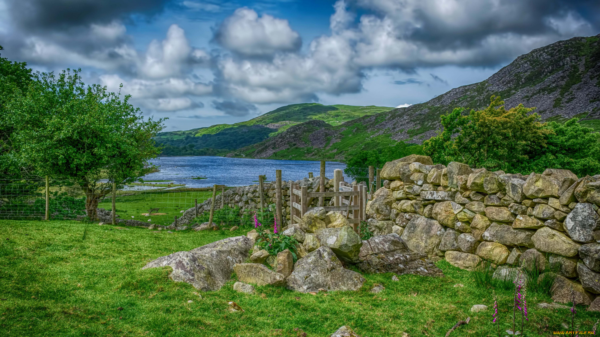 природа, пейзажи, простор