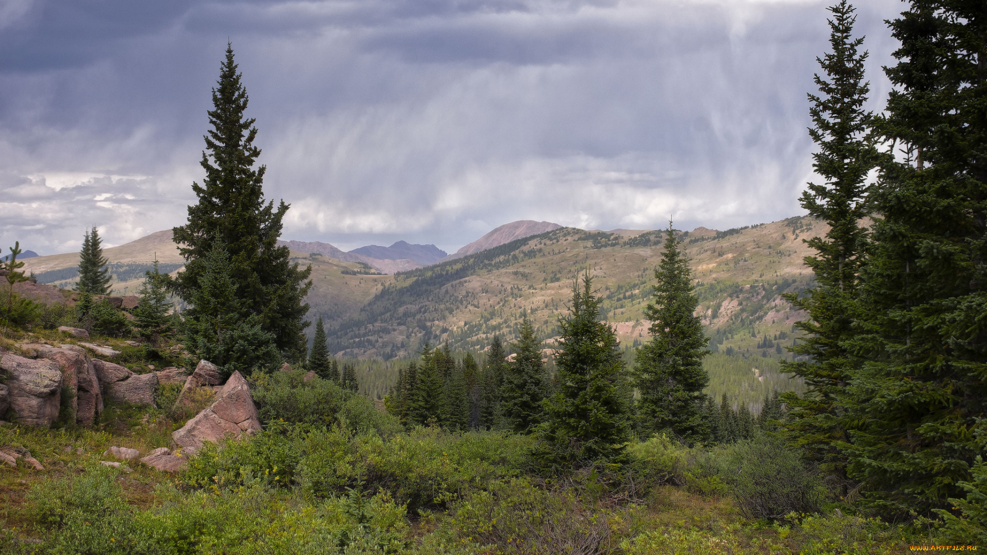 природа, пейзажи, простор