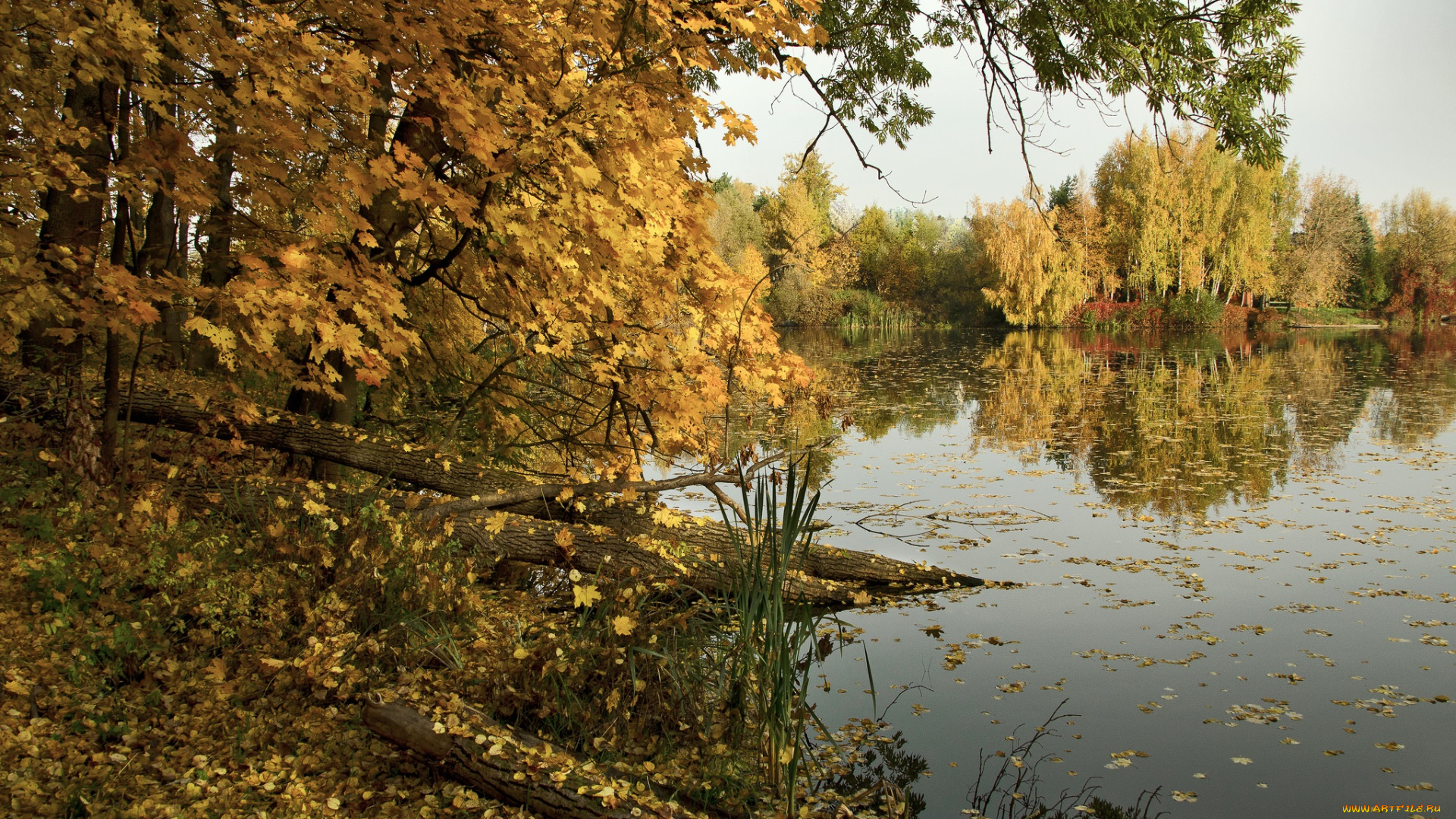 природа, реки, озера, простор