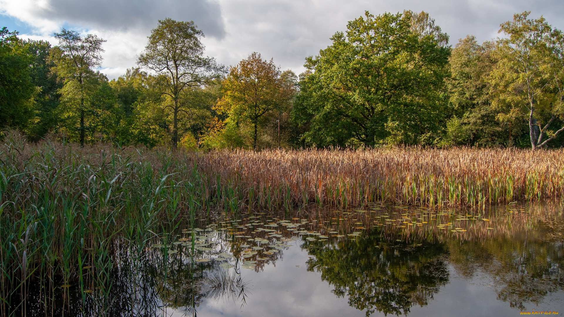 природа, реки, озера, простор