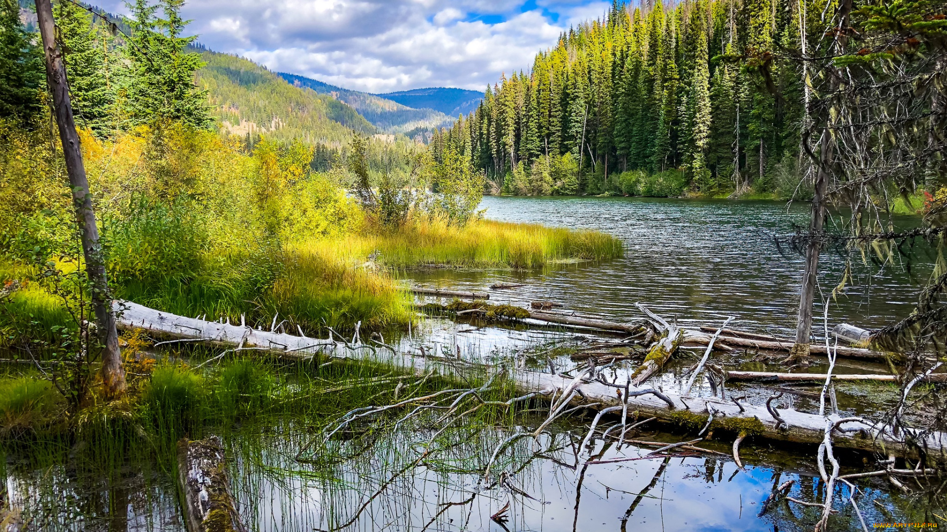 природа, реки, озера, простор