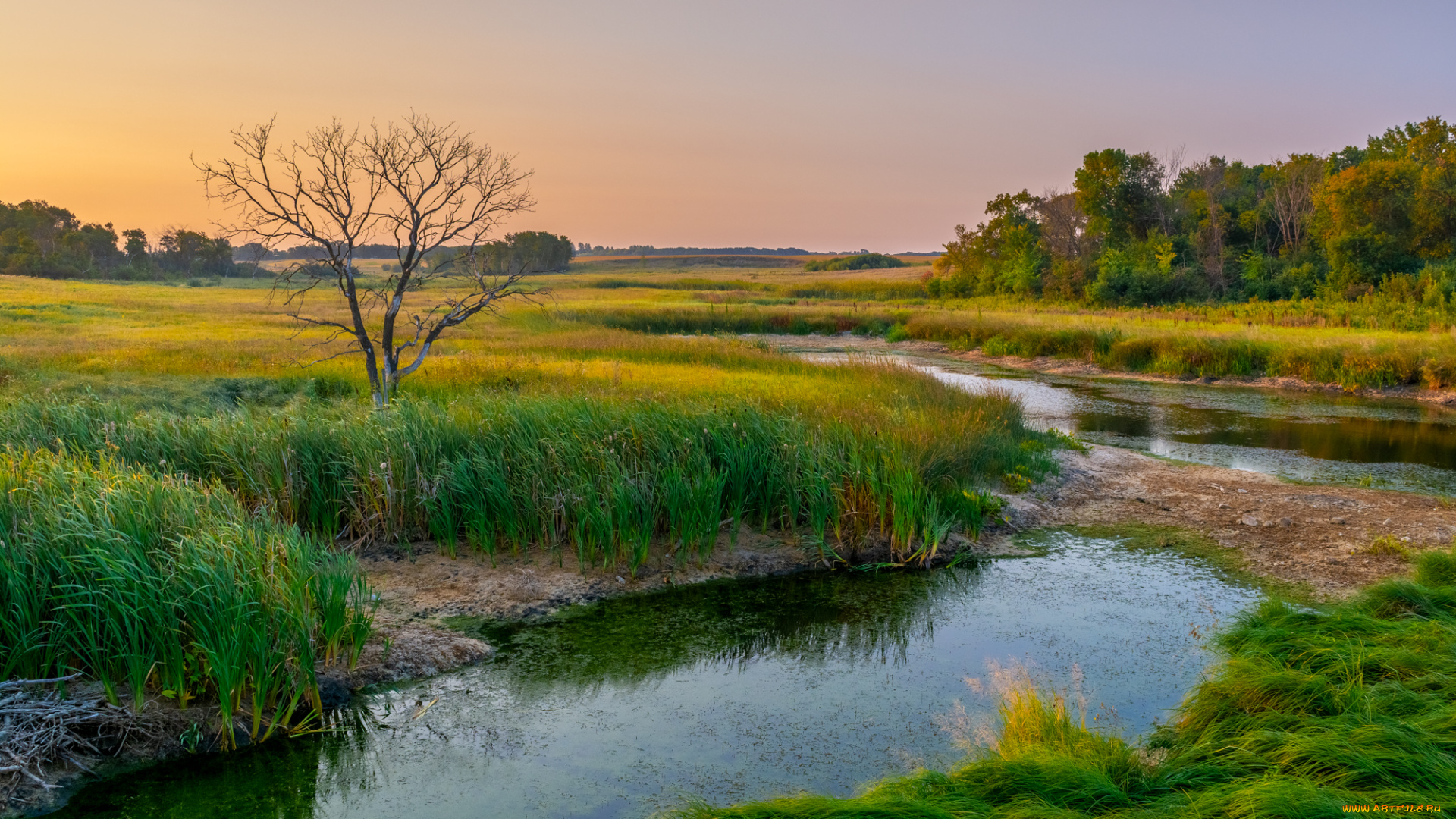 природа, реки, озера, простор