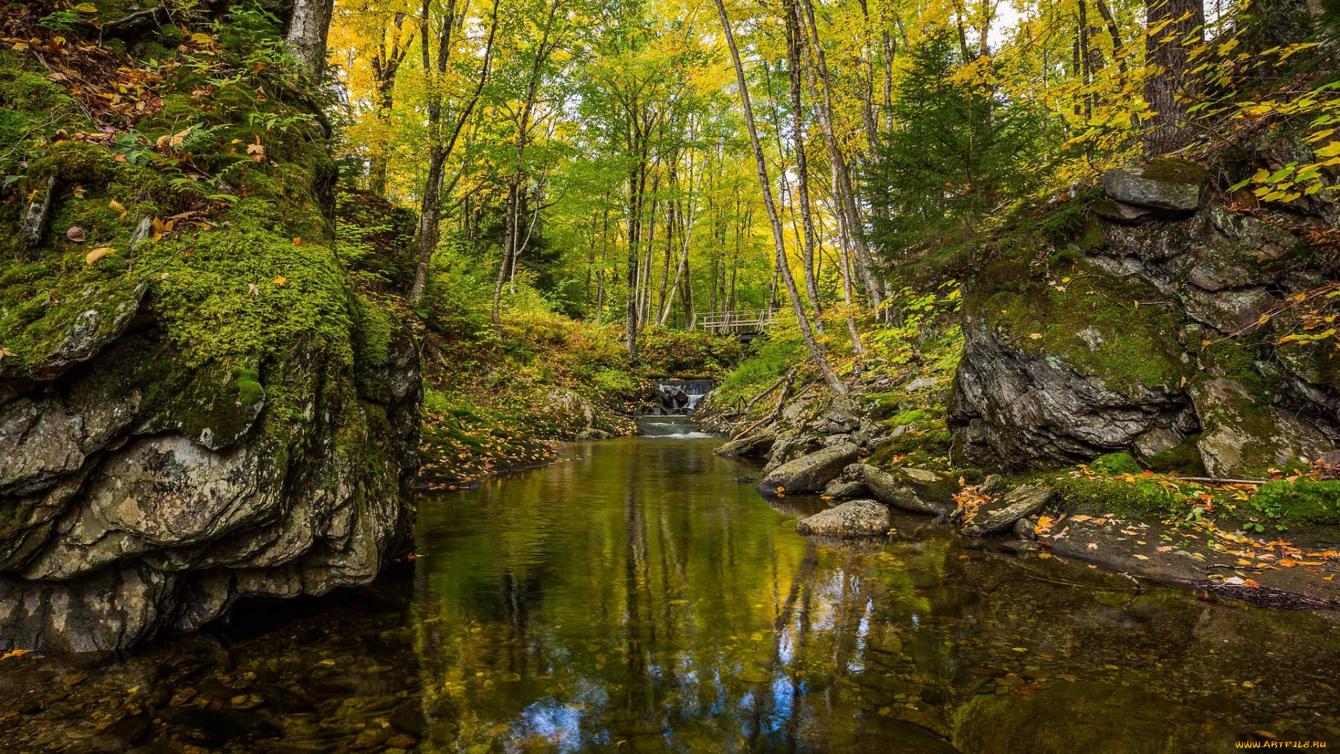природа, реки, озера, простор