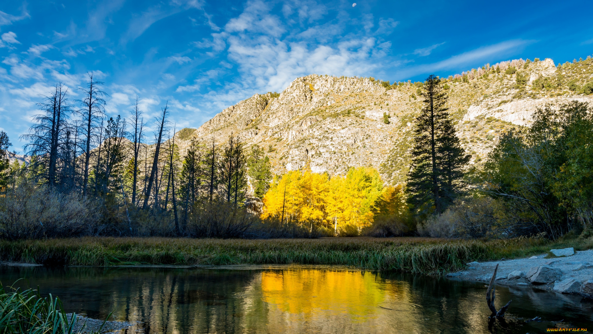 природа, реки, озера, простор