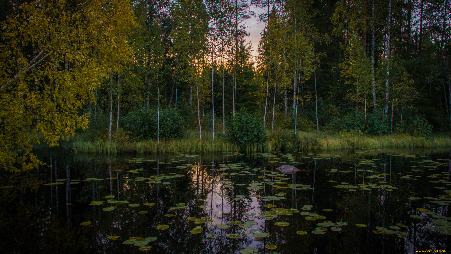 природа, реки, озера, простор