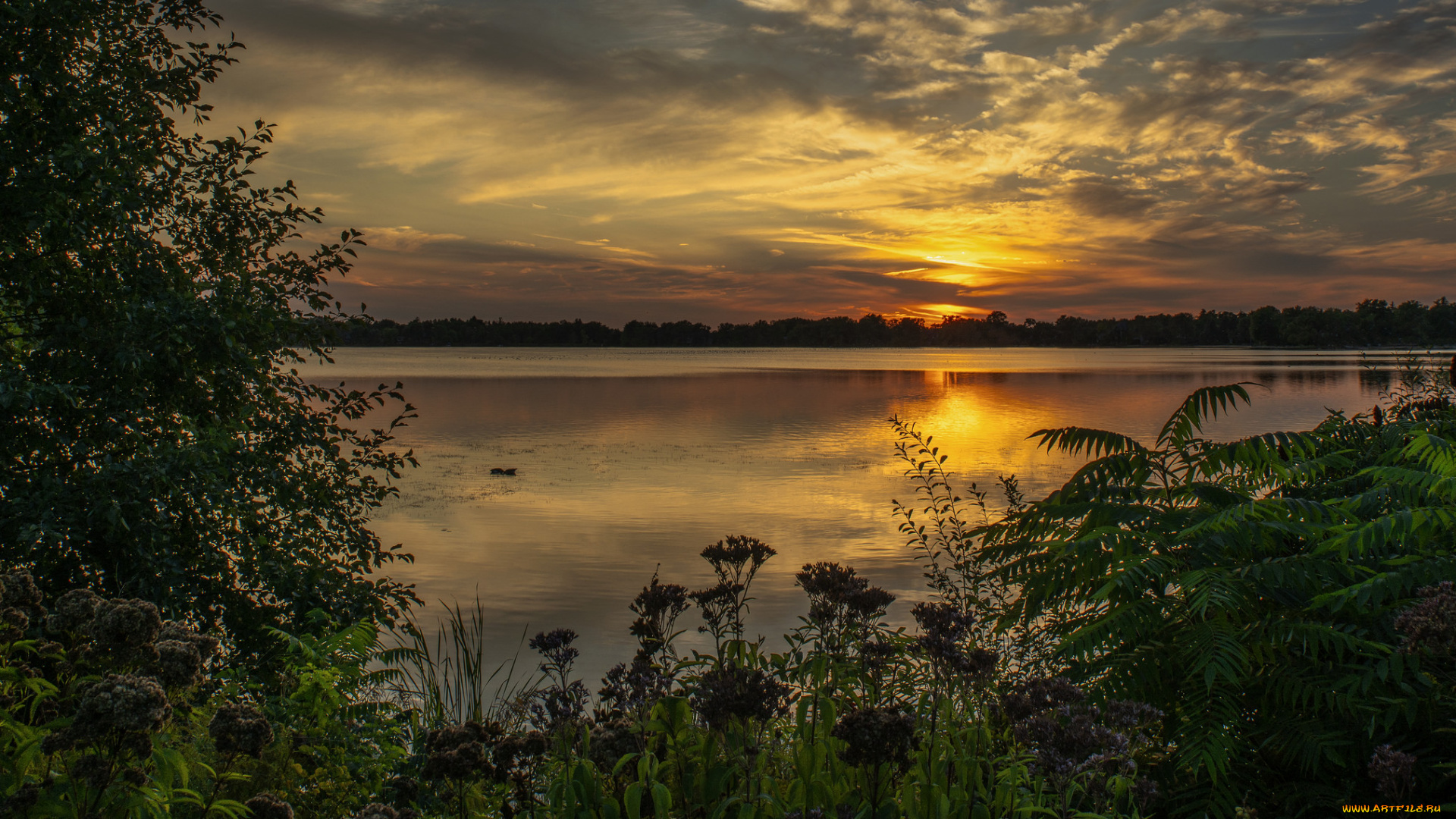 природа, восходы, закаты, простор