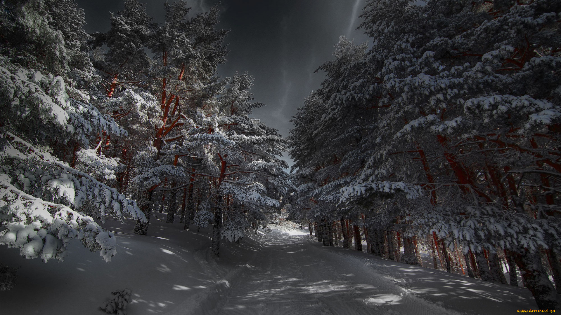 природа, зима, простор