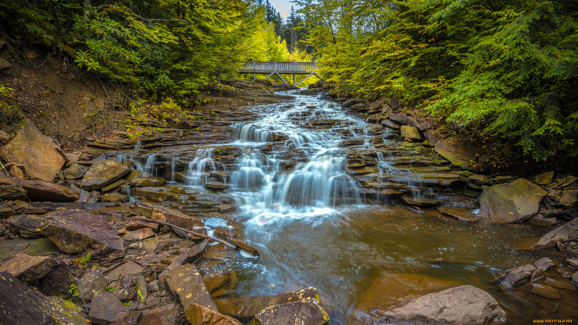 xxx, девушка, взгляд, фон, грудь, avery, обнаженная, поза, эротика, nude, solo, posing, erotic, фотосессия, sexy, cuter, сексуальная, молодая, богиня, киска, модель, petite, cute, young, goddess, beauty, голая, фото