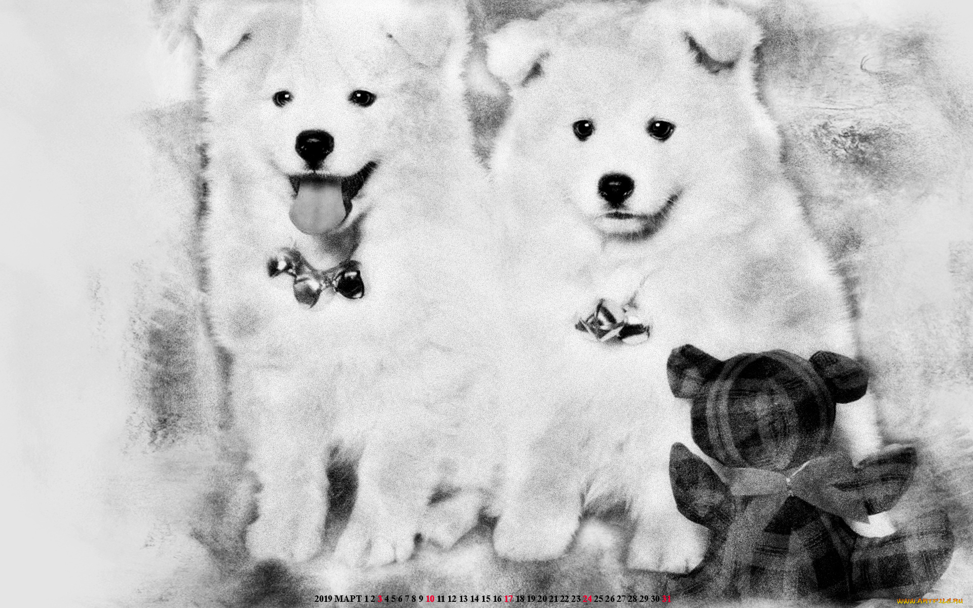 календари, компьютерный, дизайн, мишка, медведь, игрушка, собака, животное