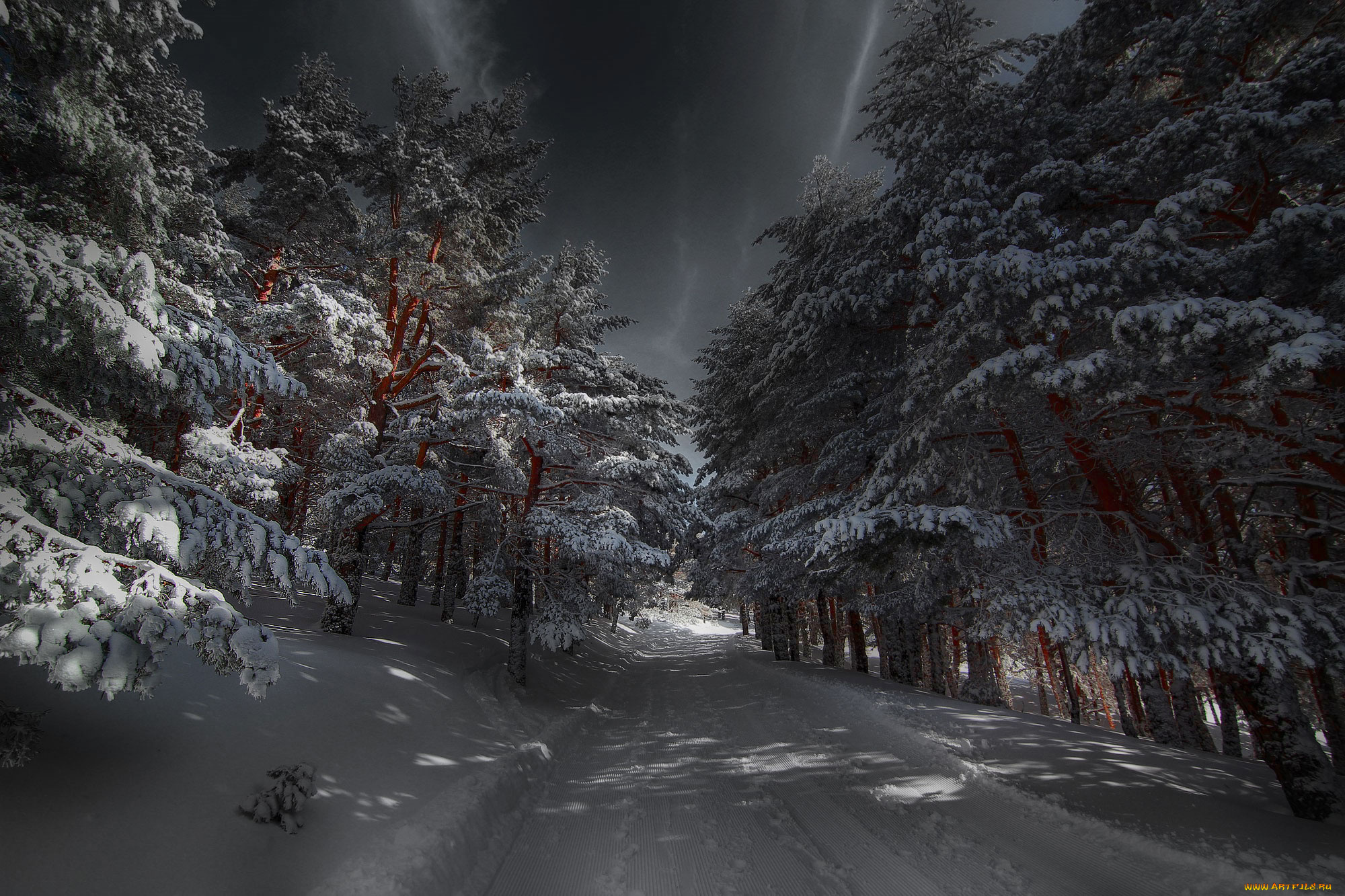 природа, зима, простор