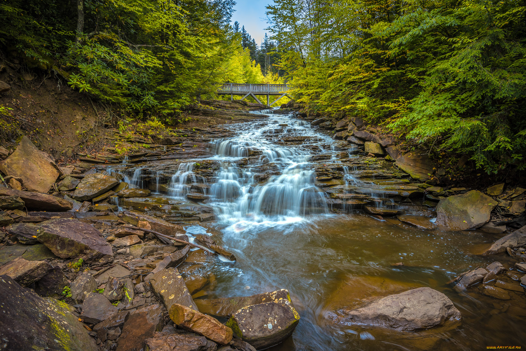 xxx, девушка, взгляд, фон, грудь, avery, обнаженная, поза, эротика, nude, solo, posing, erotic, фотосессия, sexy, cuter, сексуальная, молодая, богиня, киска, модель, petite, cute, young, goddess, beauty, голая, фото