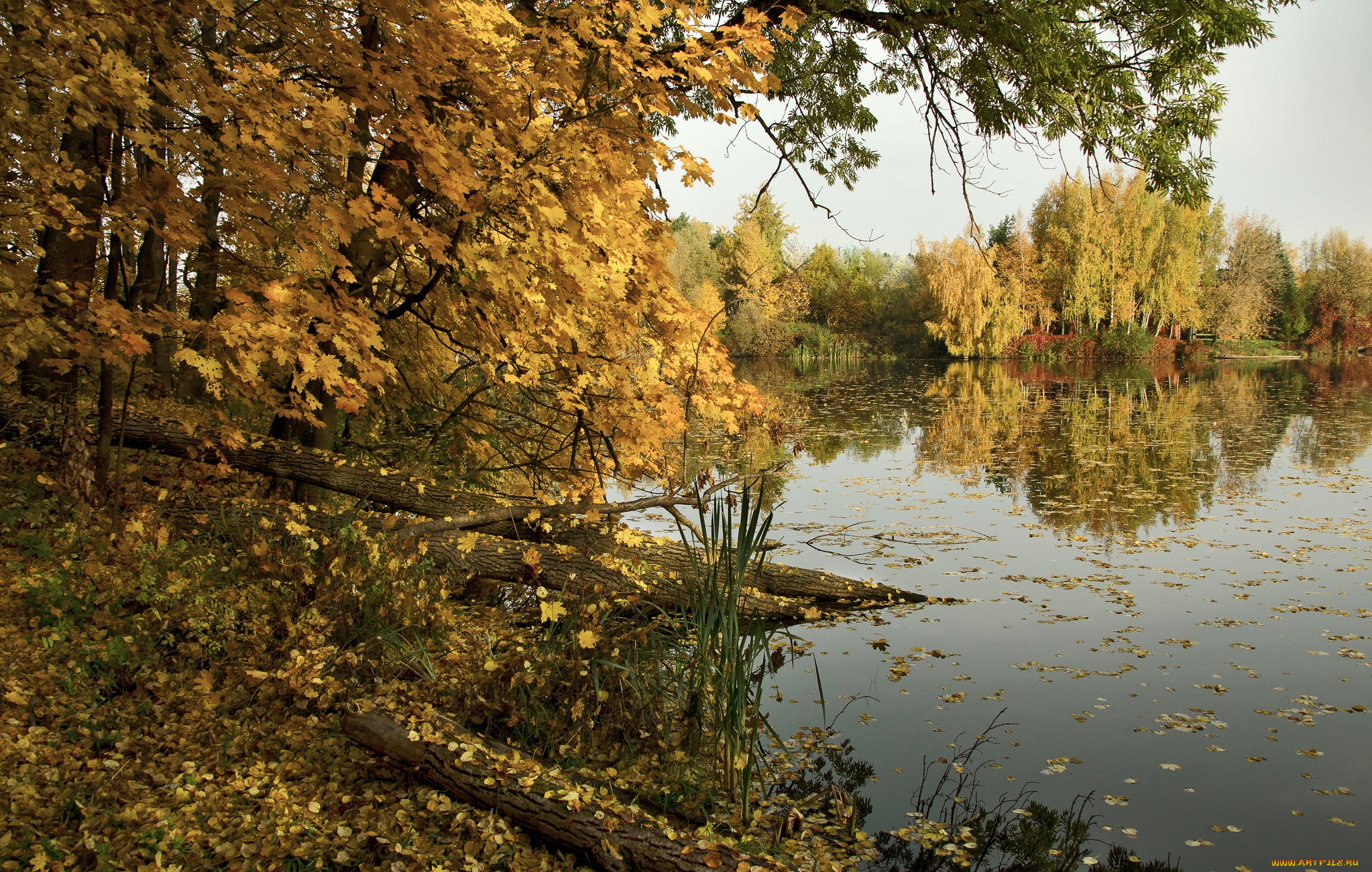 природа, реки, озера, простор