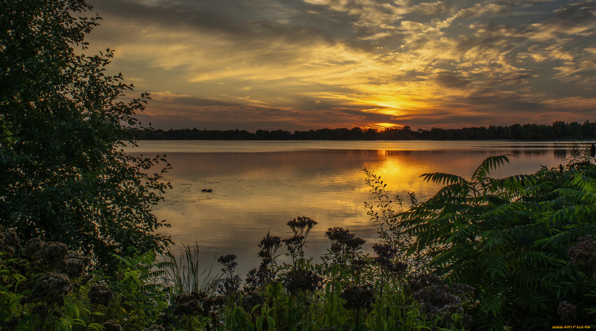 природа, восходы, закаты, простор