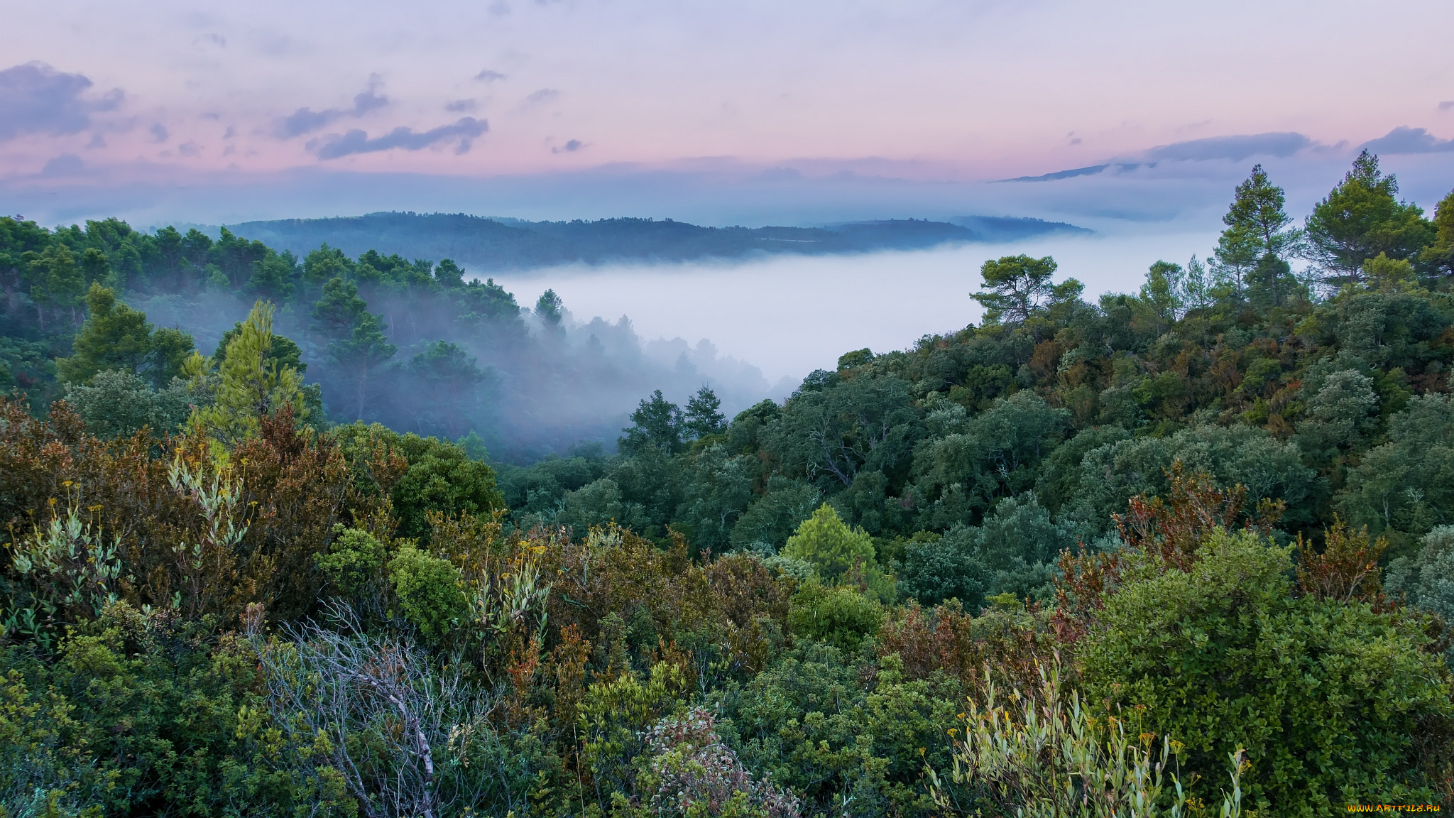 природа, пейзажи, простор