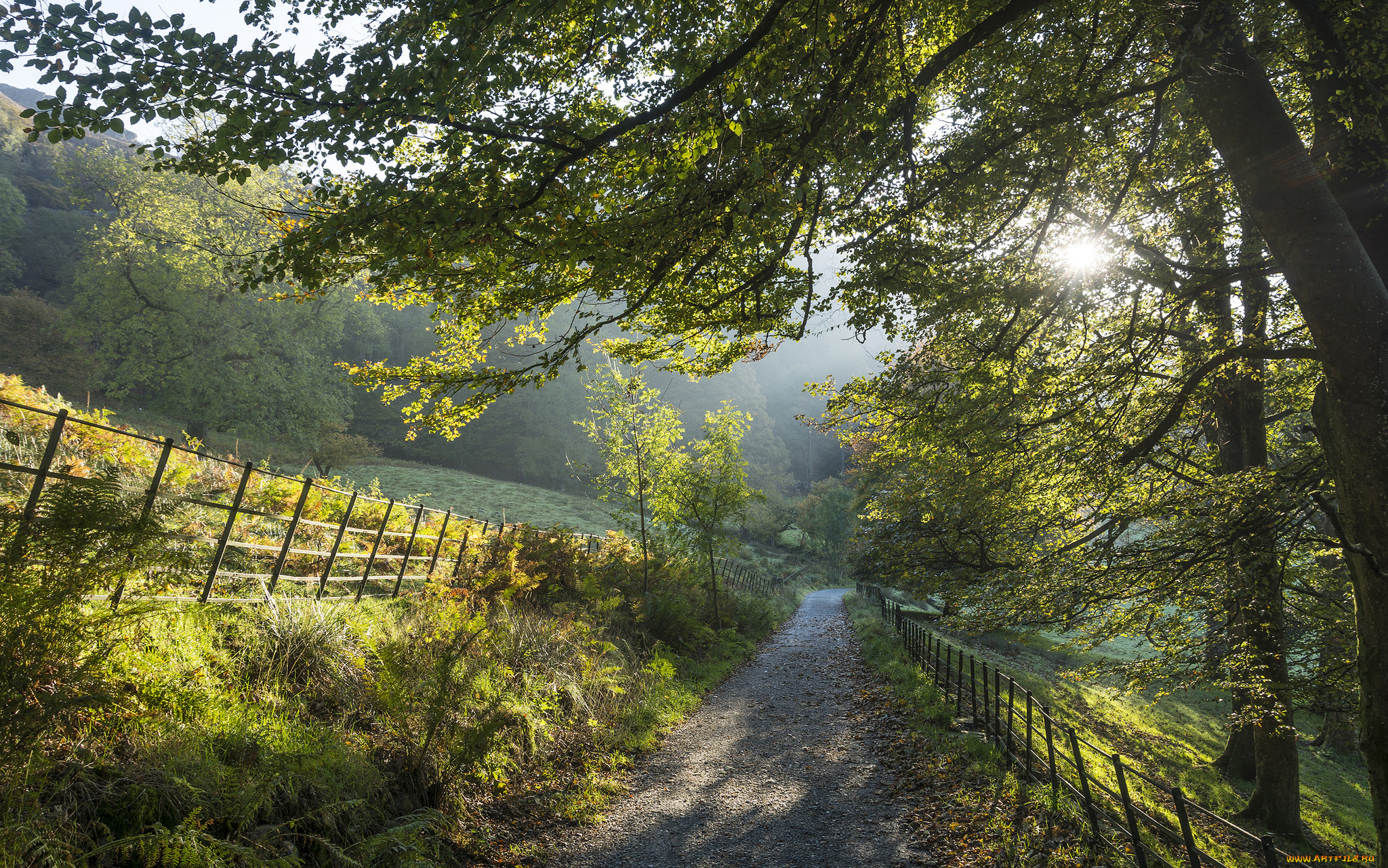 природа, дороги, простор