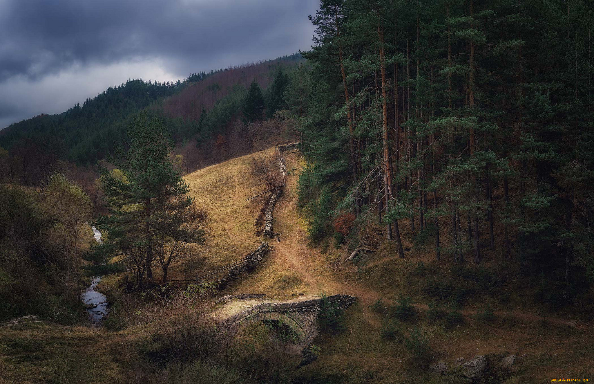 природа, пейзажи, простор