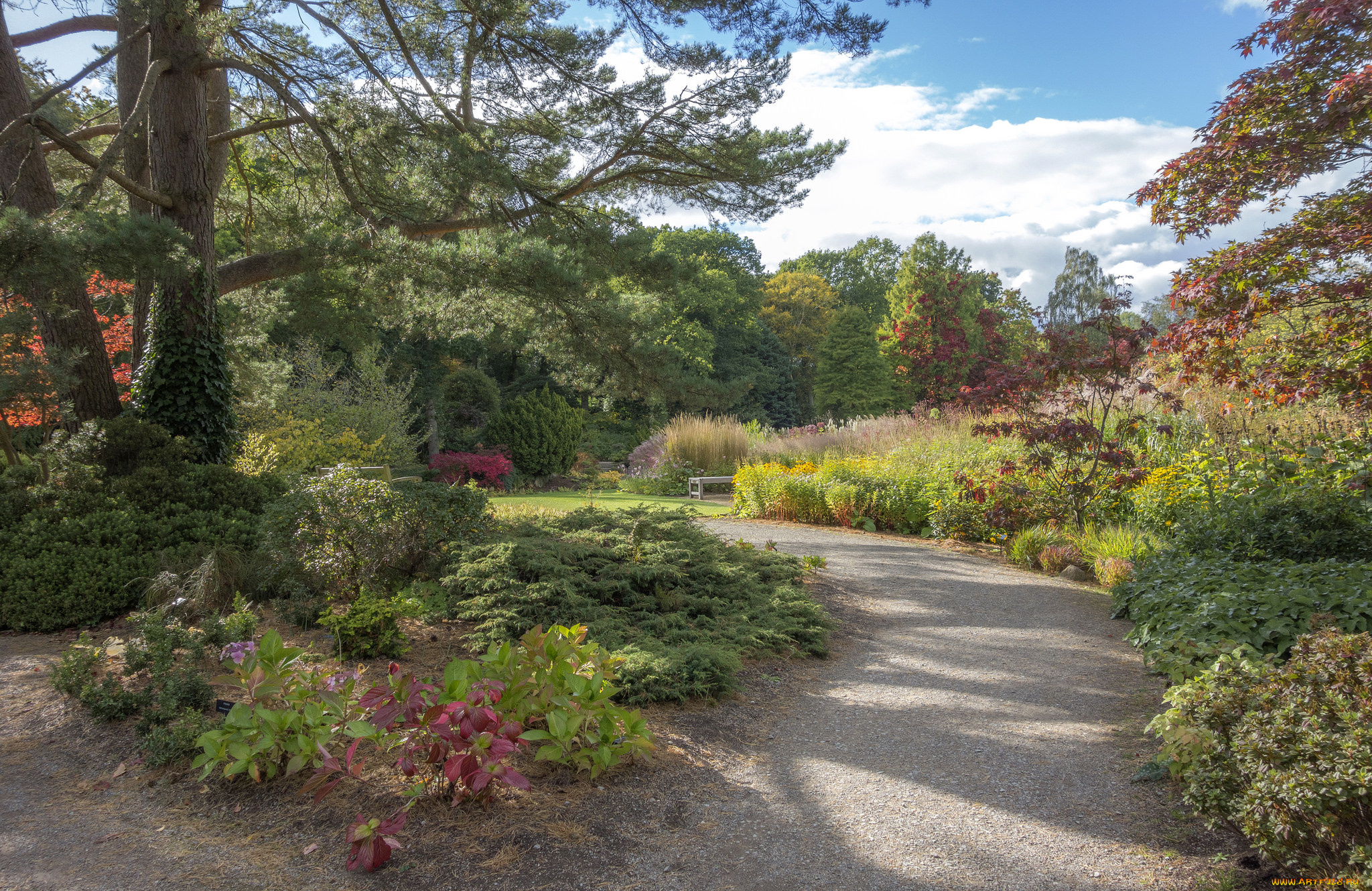 природа, парк, простор