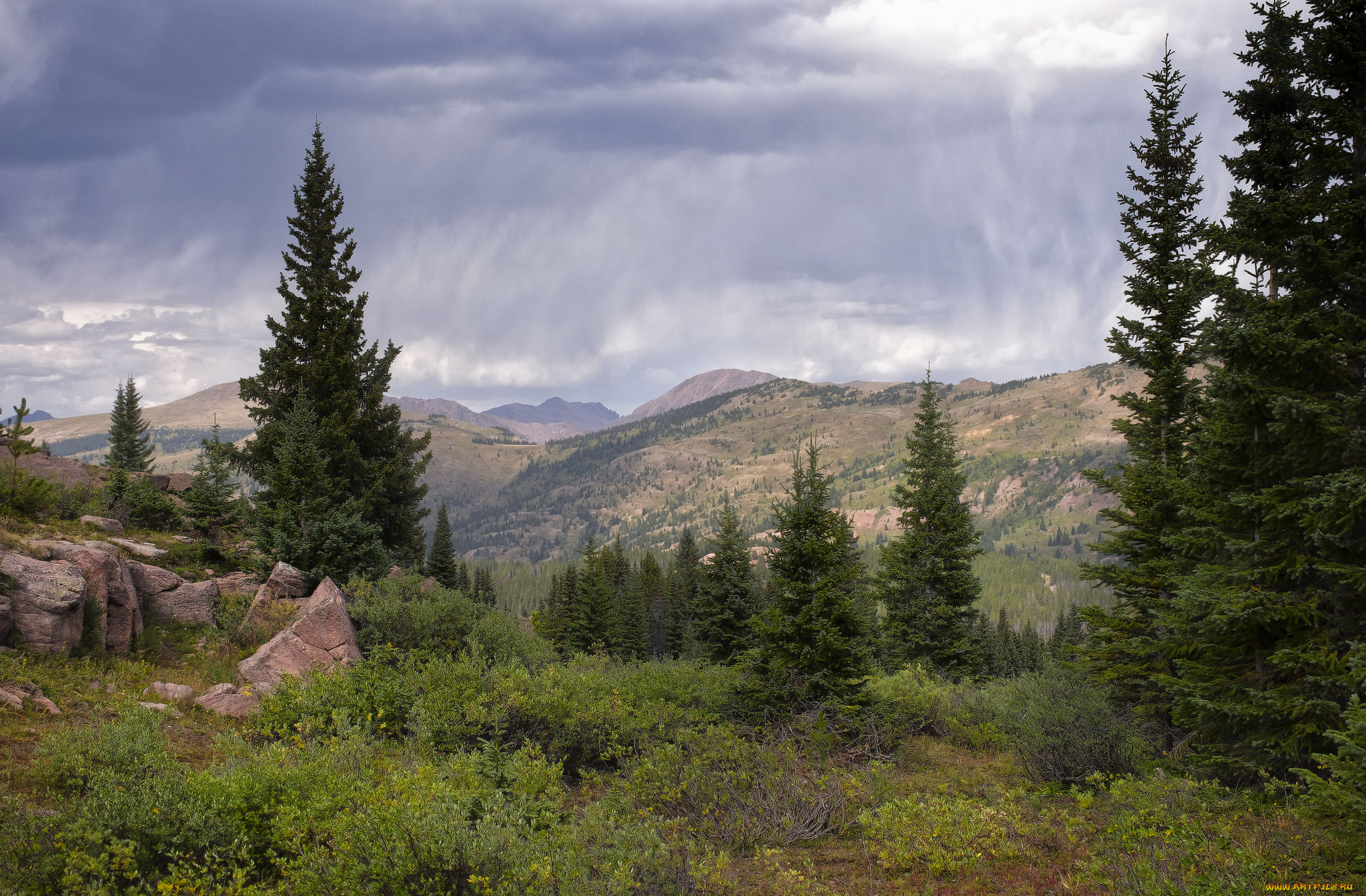 природа, пейзажи, простор