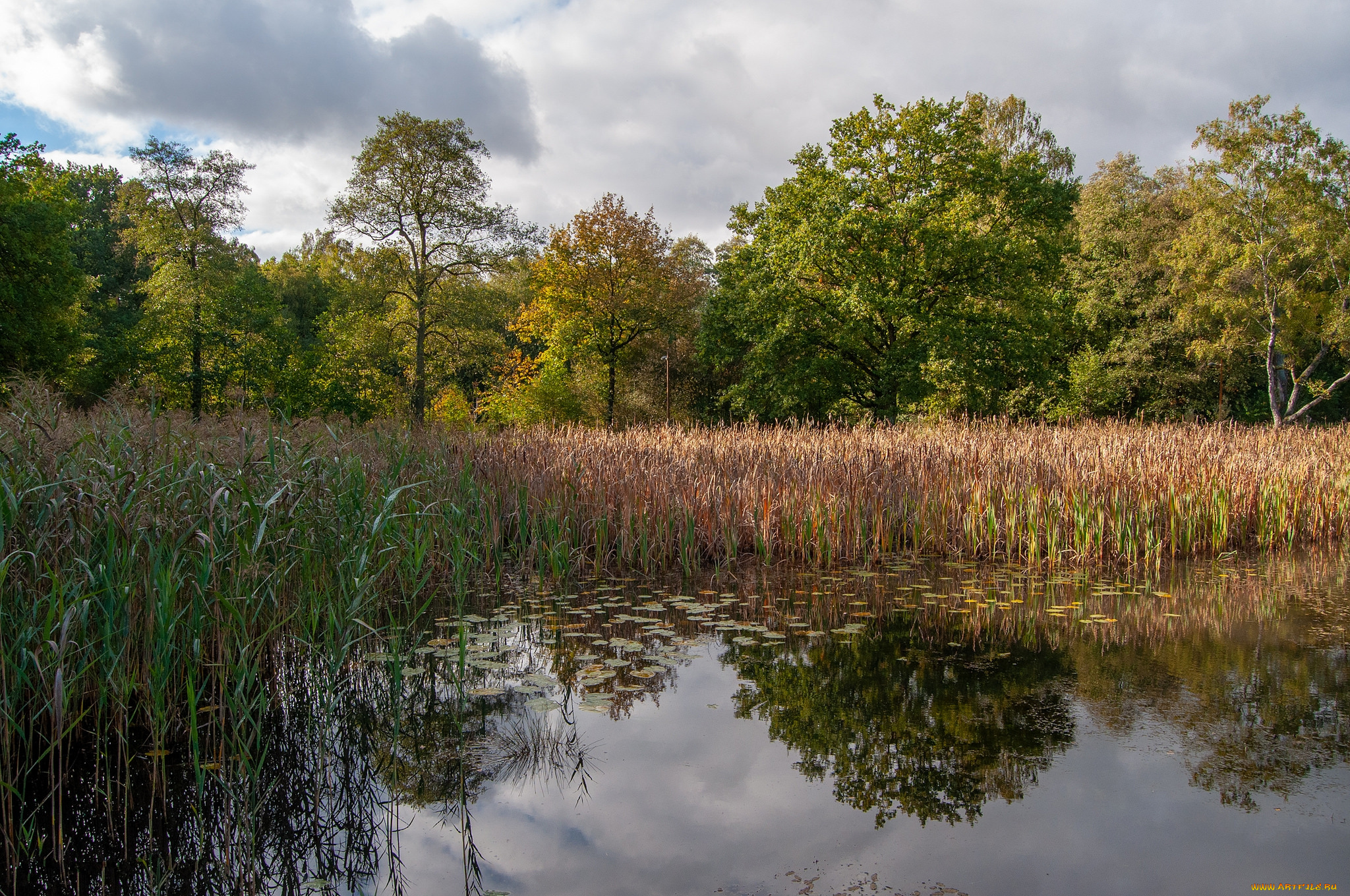 природа, реки, озера, простор