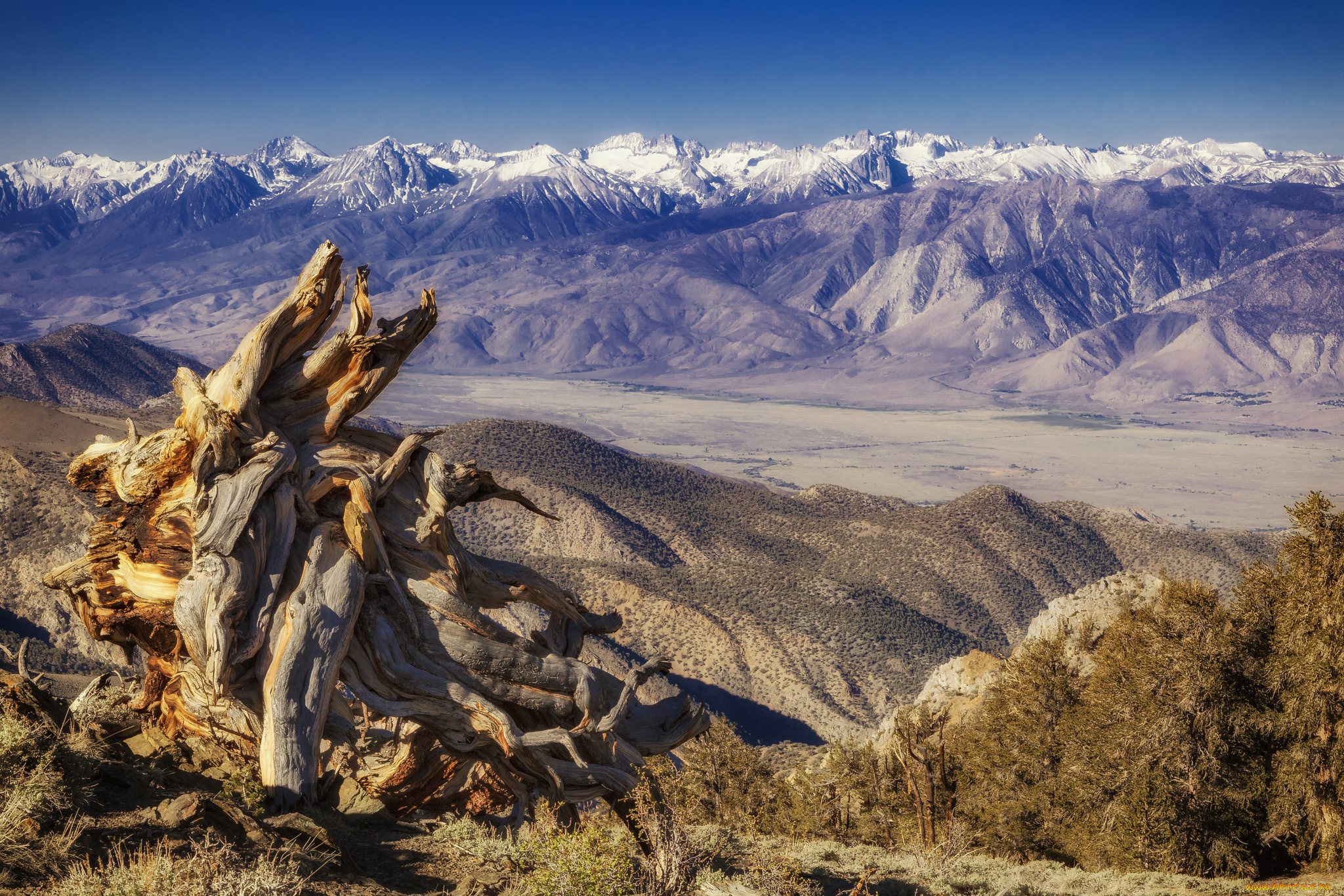 природа, горы, простор