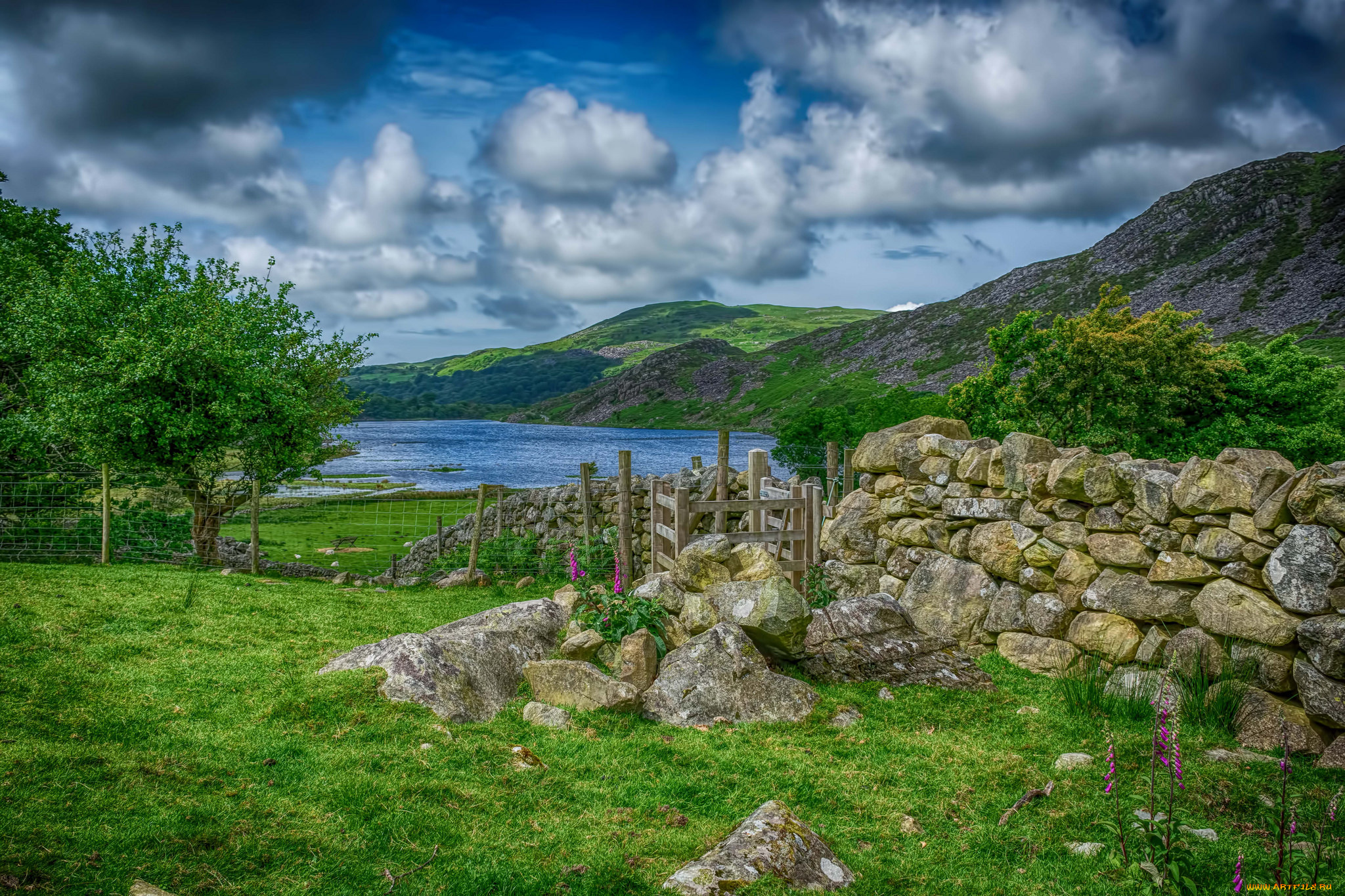 природа, пейзажи, простор