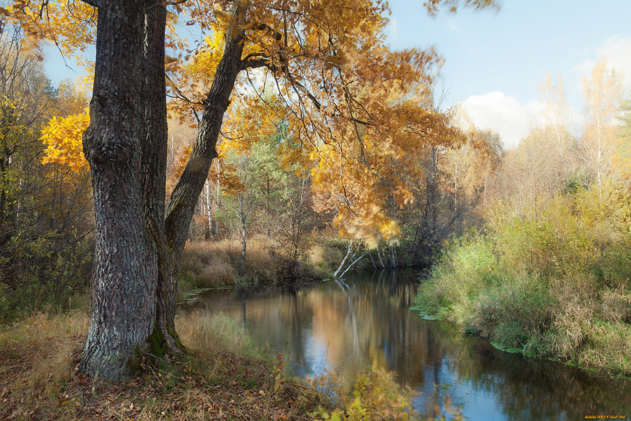 природа, реки, озера, простор