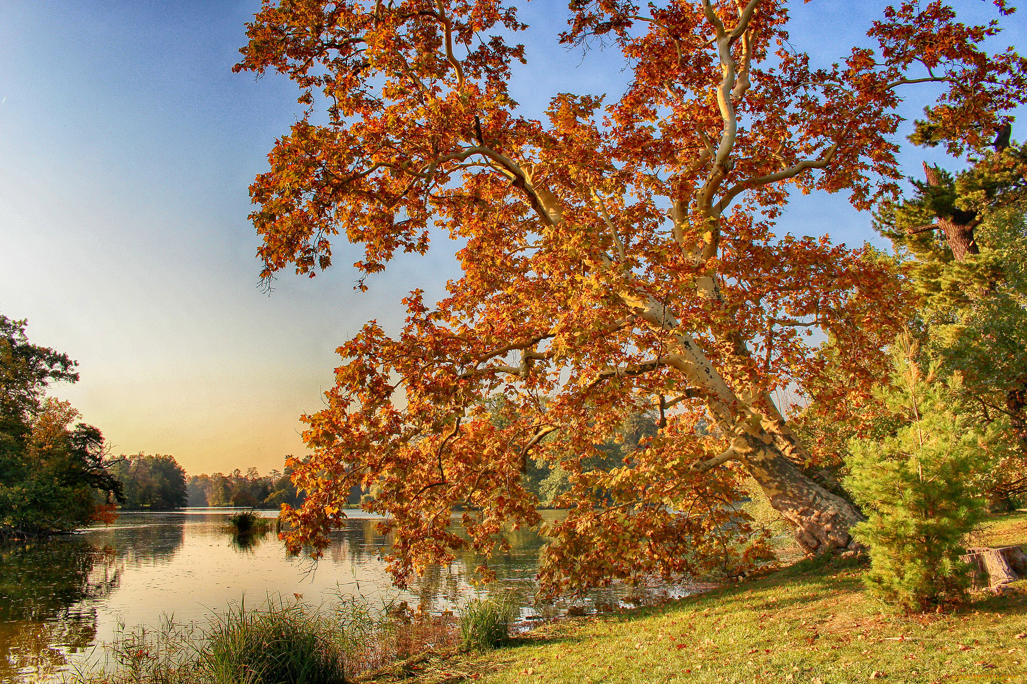 природа, реки, озера, простор