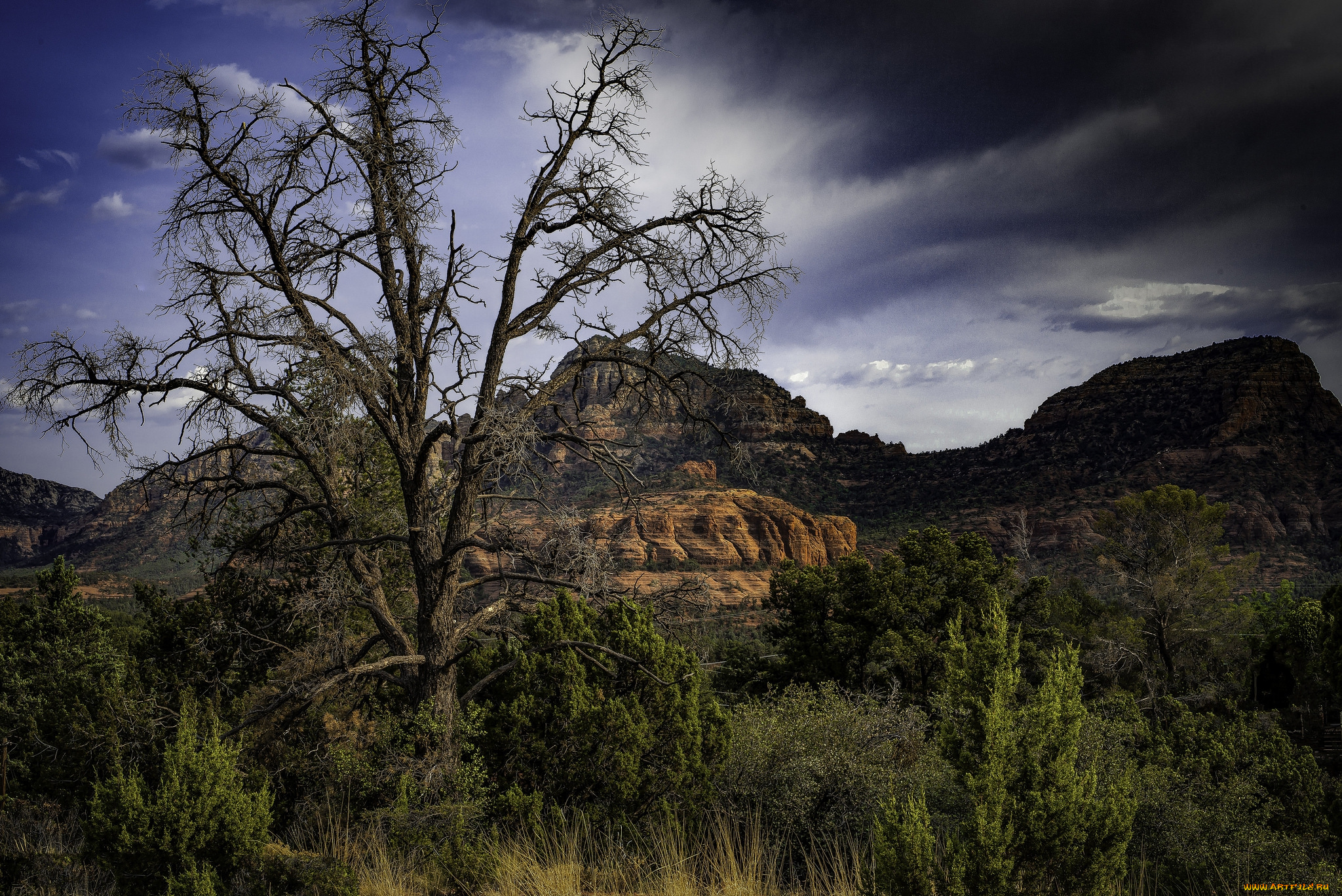 природа, пейзажи, простор