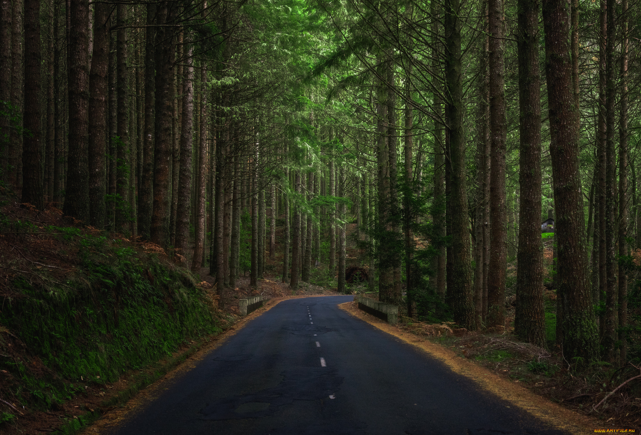 природа, дороги, простор