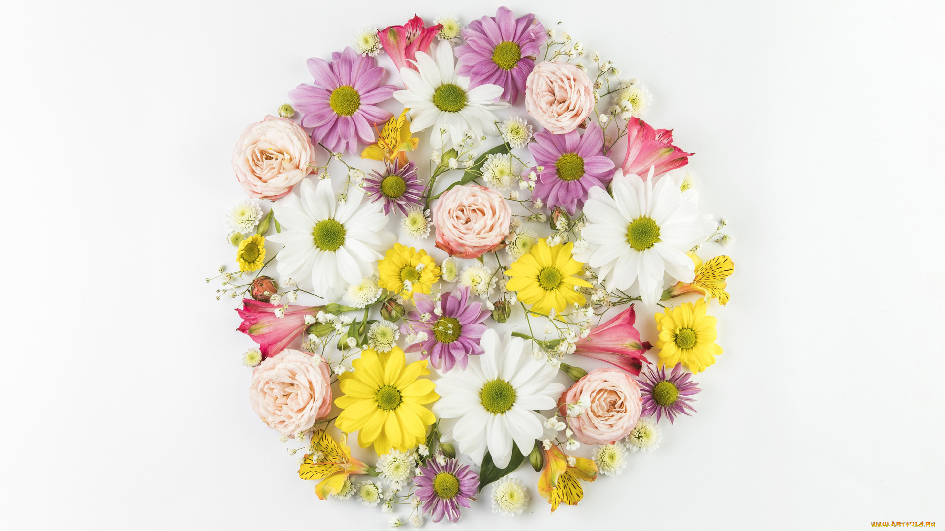 цветы, разные, вместе, альстромерия, герберы, розы