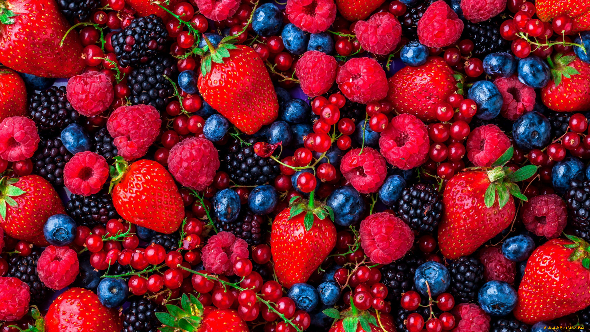 еда, фрукты, , ягоды, ежевика, малина, красная, смородина, клубника, черника