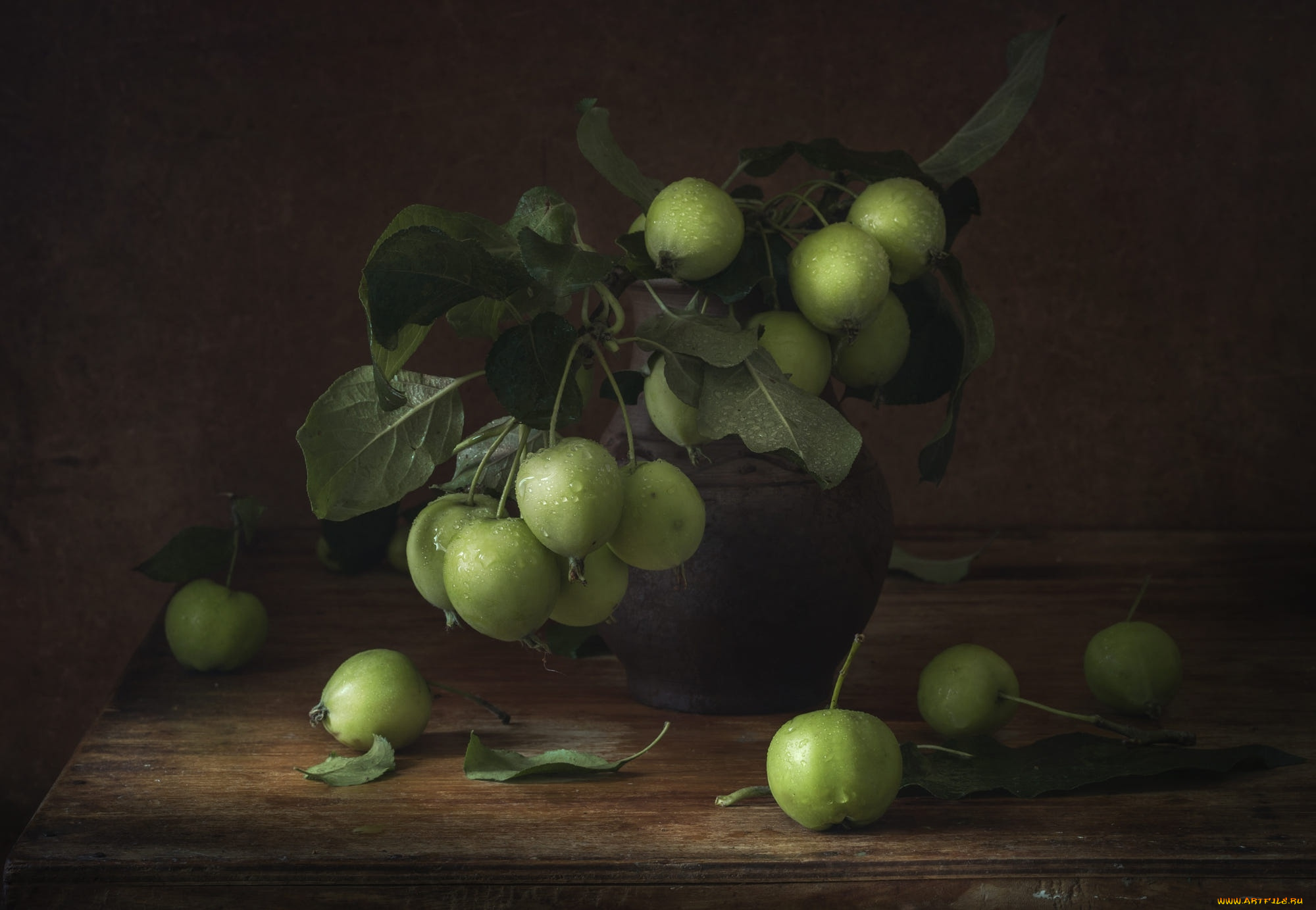 еда, яблоки, зеленые