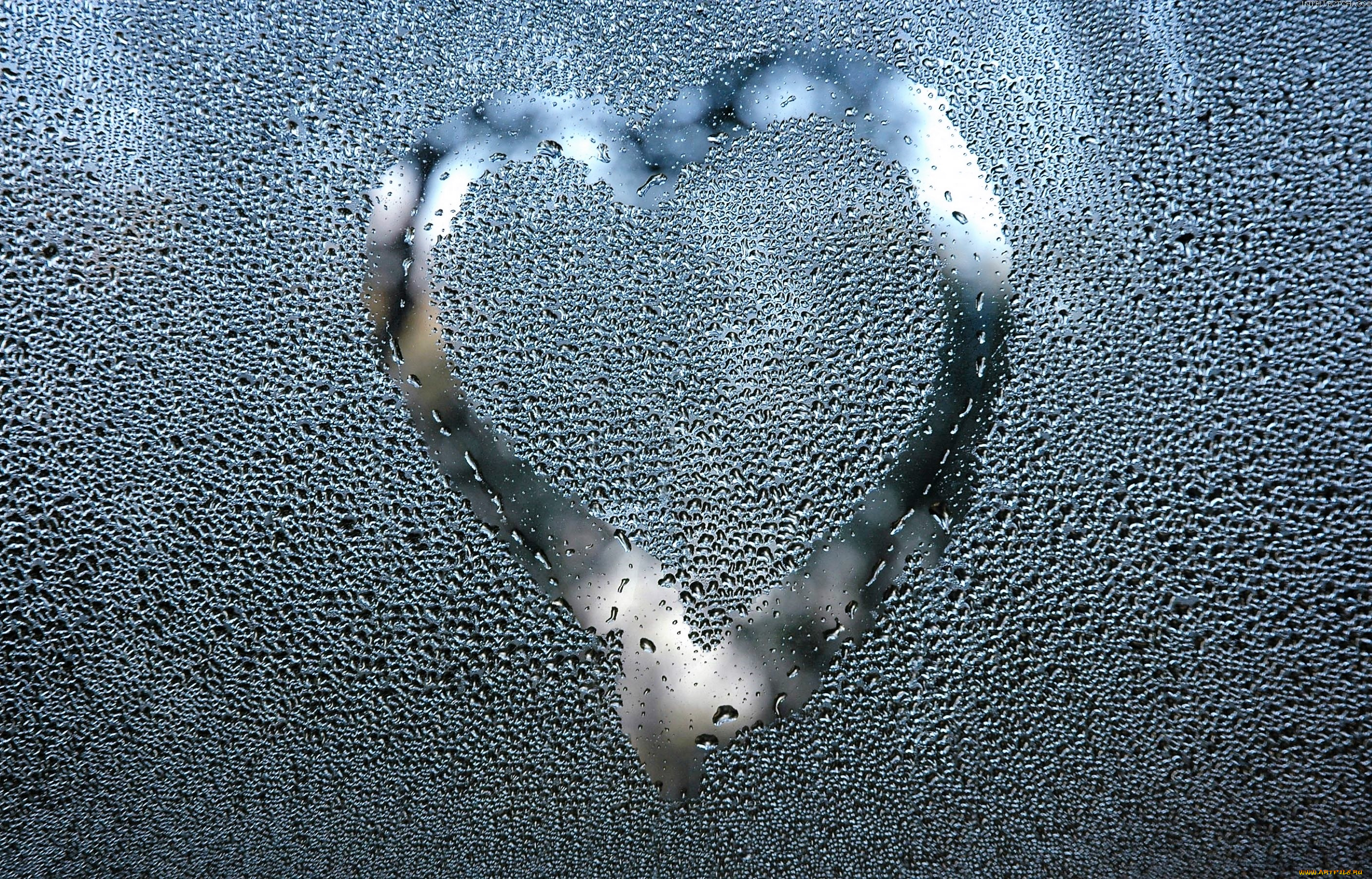 праздничные, день, святого, валентина, , сердечки, , любовь, сердечко, стекло, капли