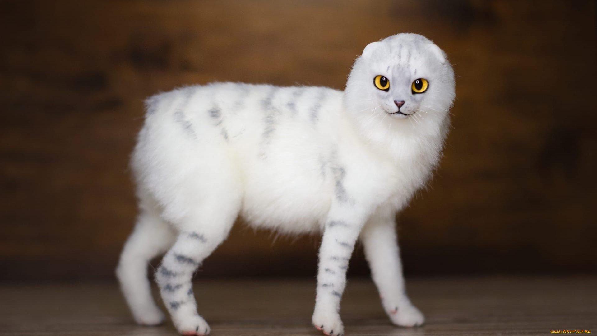 разное, игрушки, кот, фигурка