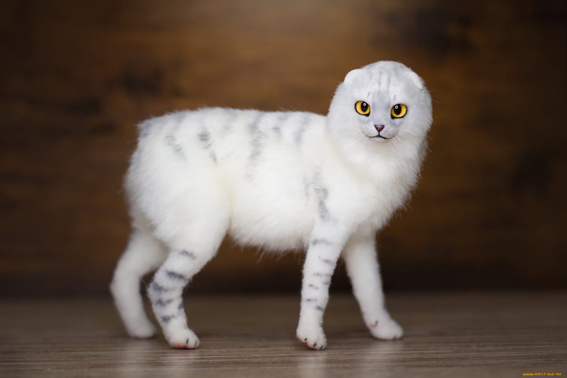 разное, игрушки, кот, фигурка