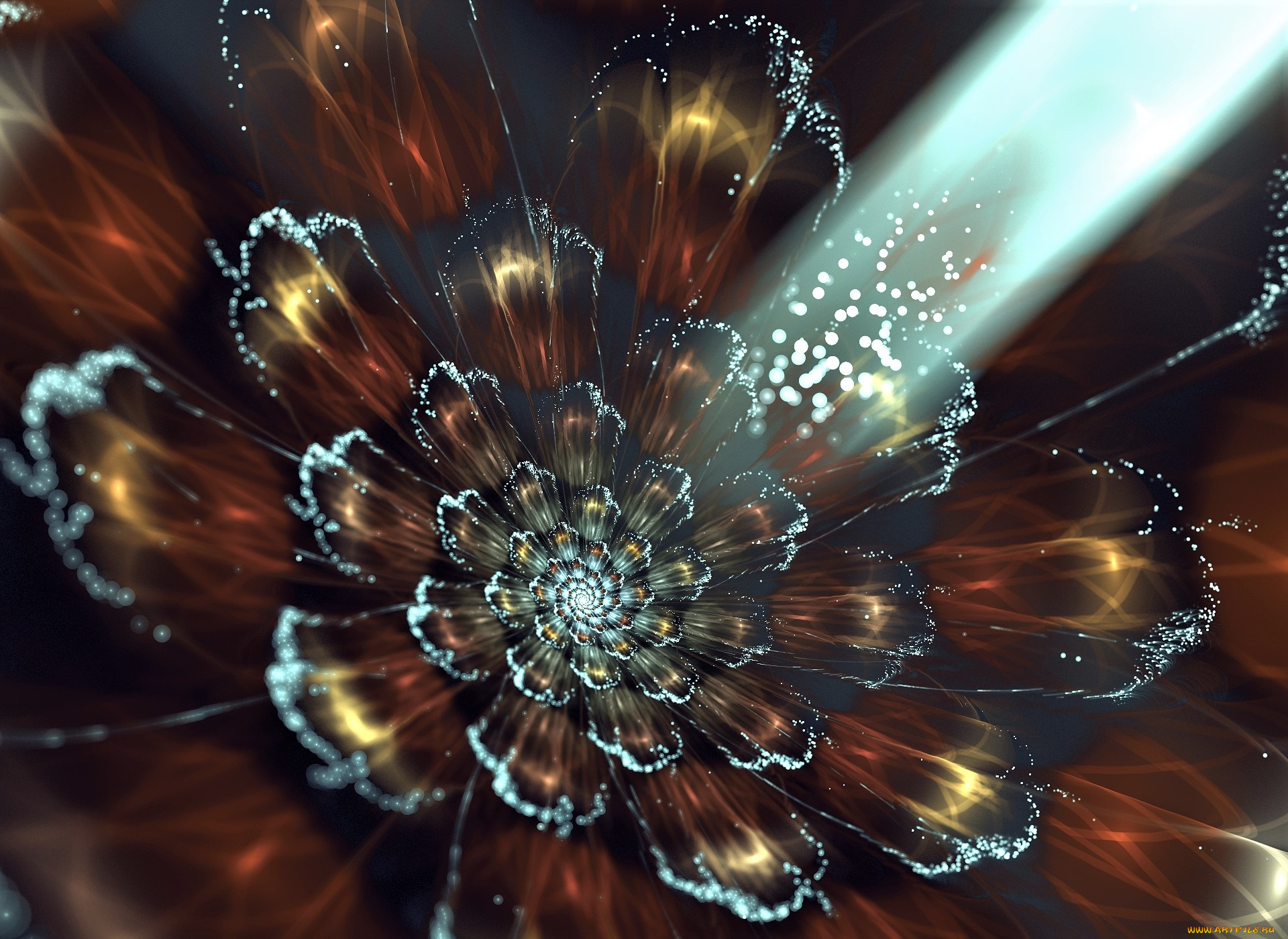 3д, графика, цветы, , flowers, цветок, коричневый, луч